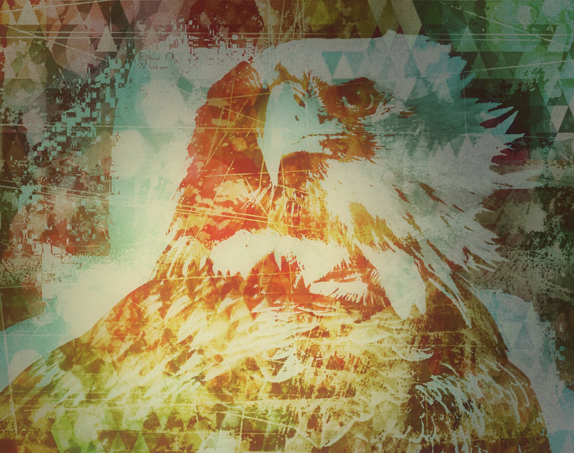 Eagle Featured Image