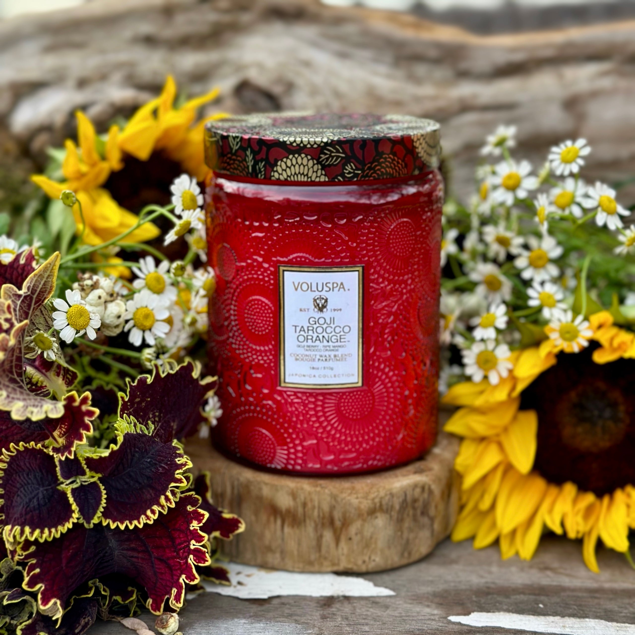 Goji Tarocco Orange Large Jar Candle