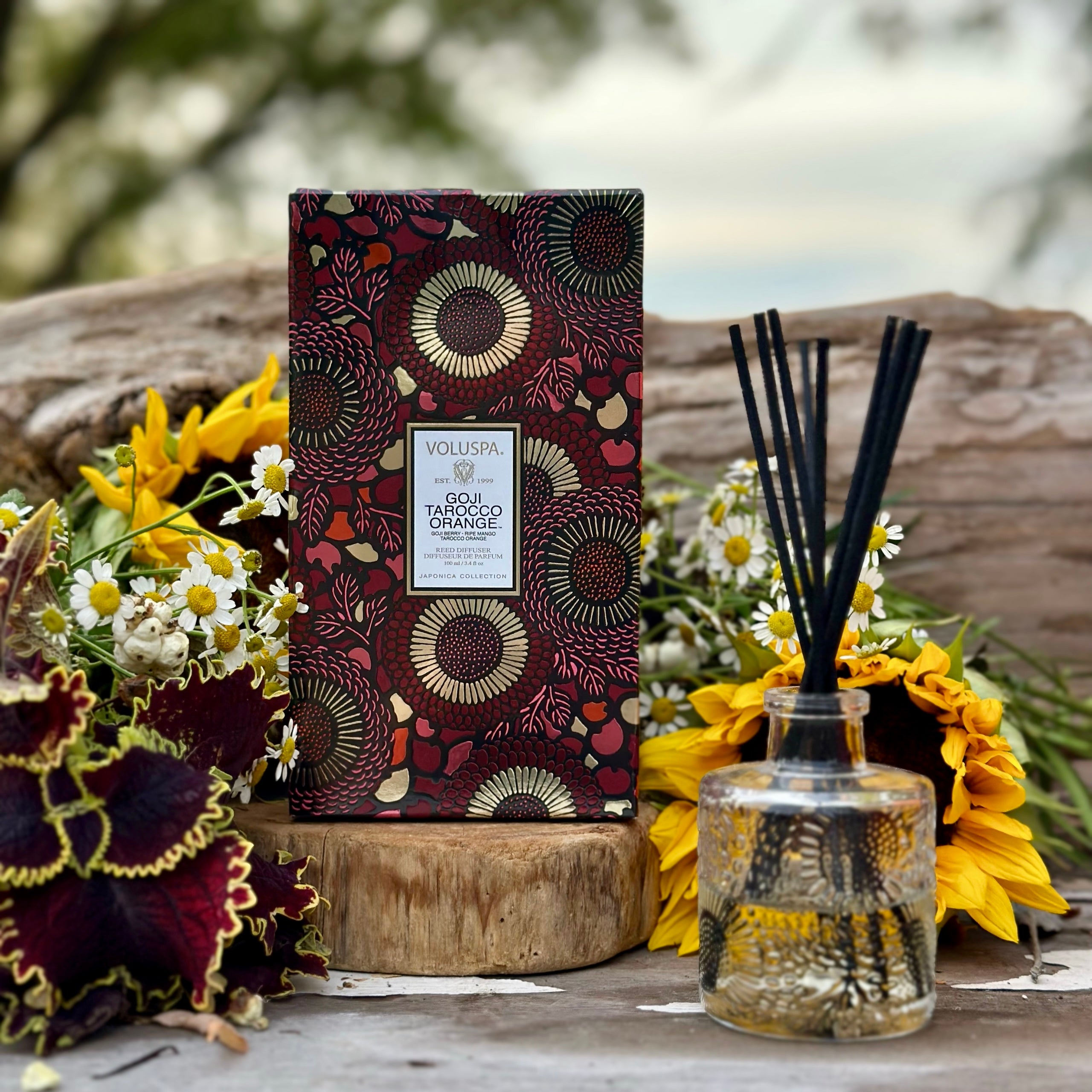 Goji Tarocco Orange Reed Diffuser