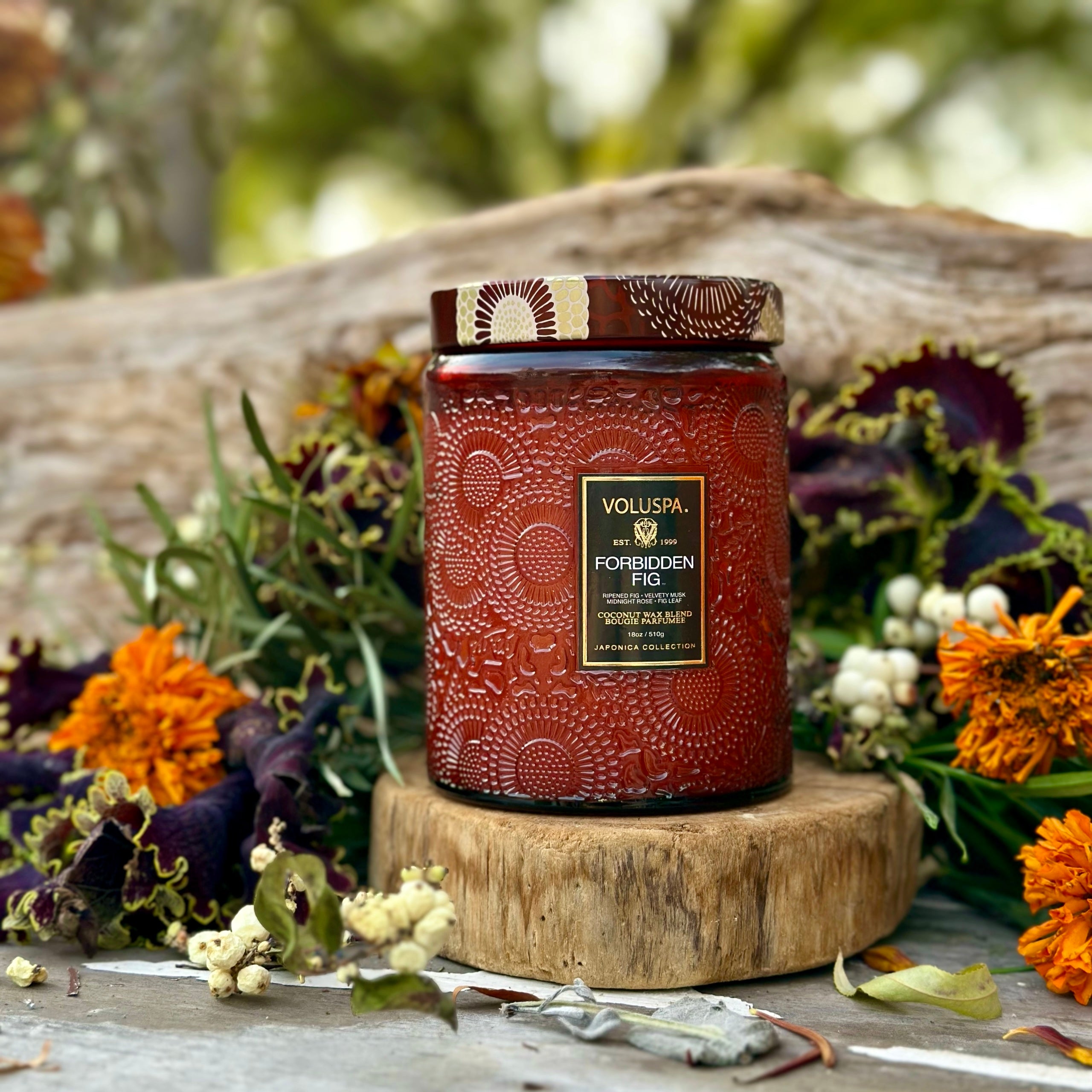 Forbidden Fig Large Jar Candle