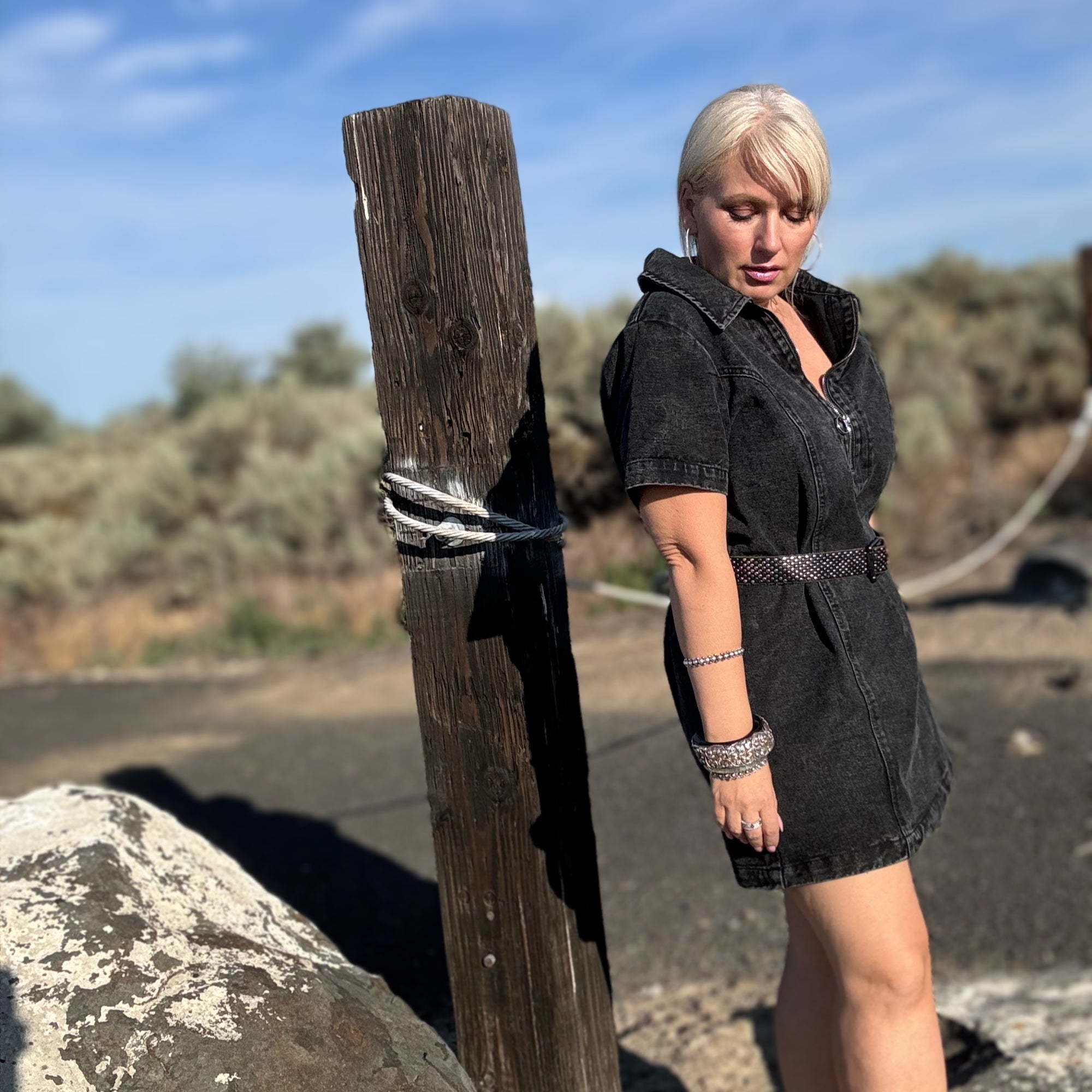 Hudson Denim Zip Dress
