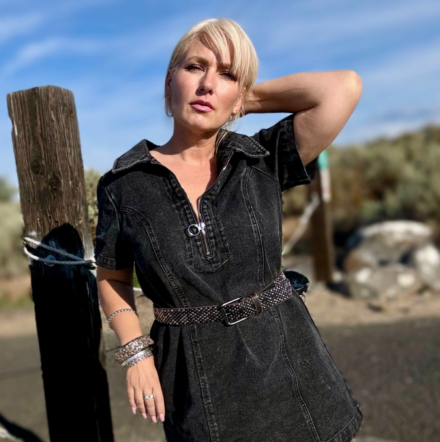Hudson Denim Zip Dress