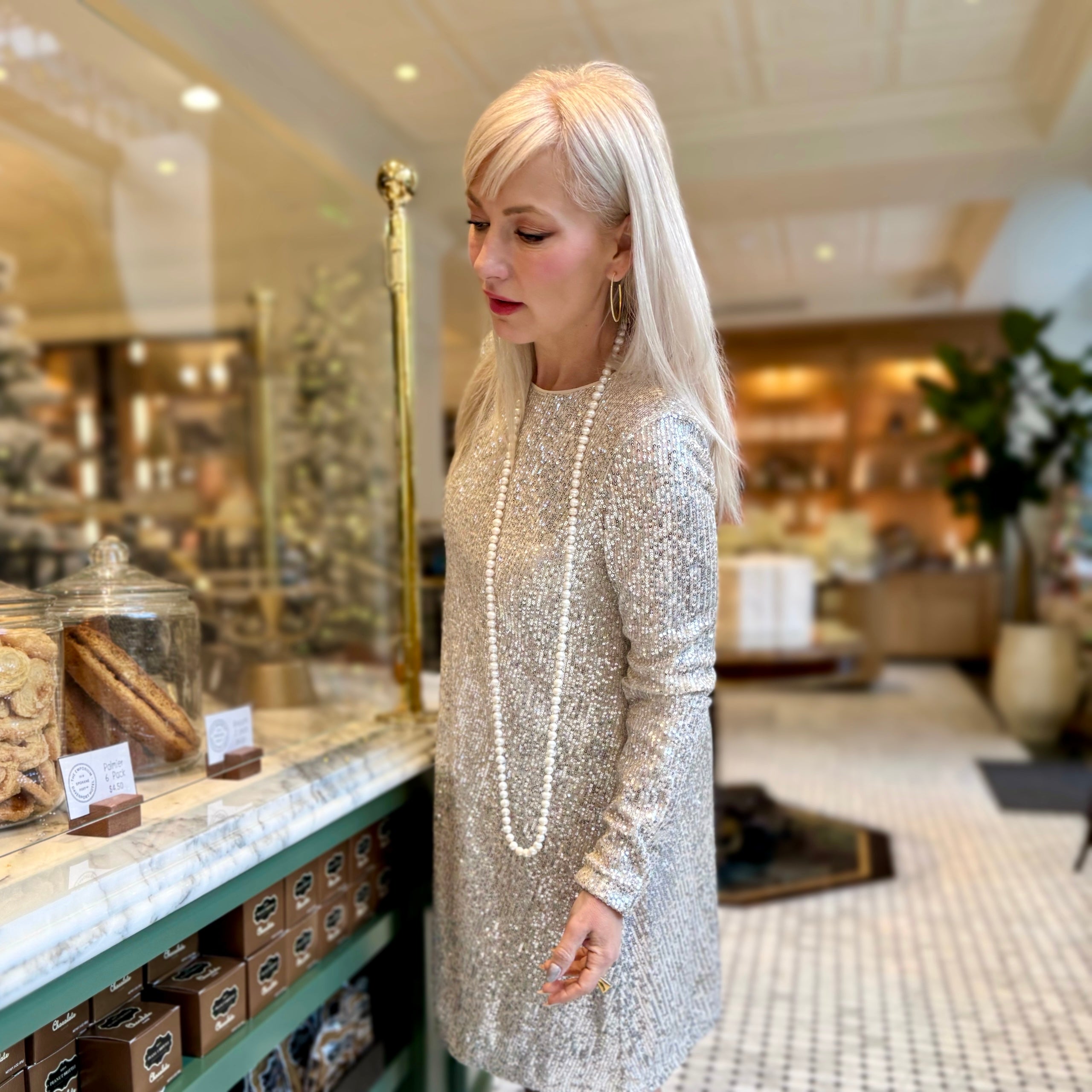 Marilyn A Line Sequined Dress