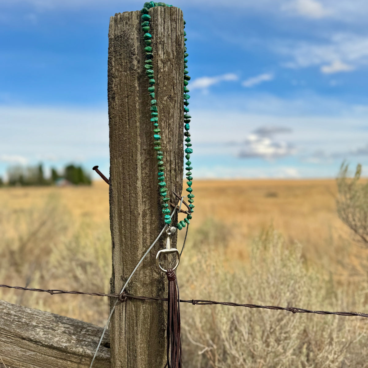 The Open Range Turquoise Tassel Necklace