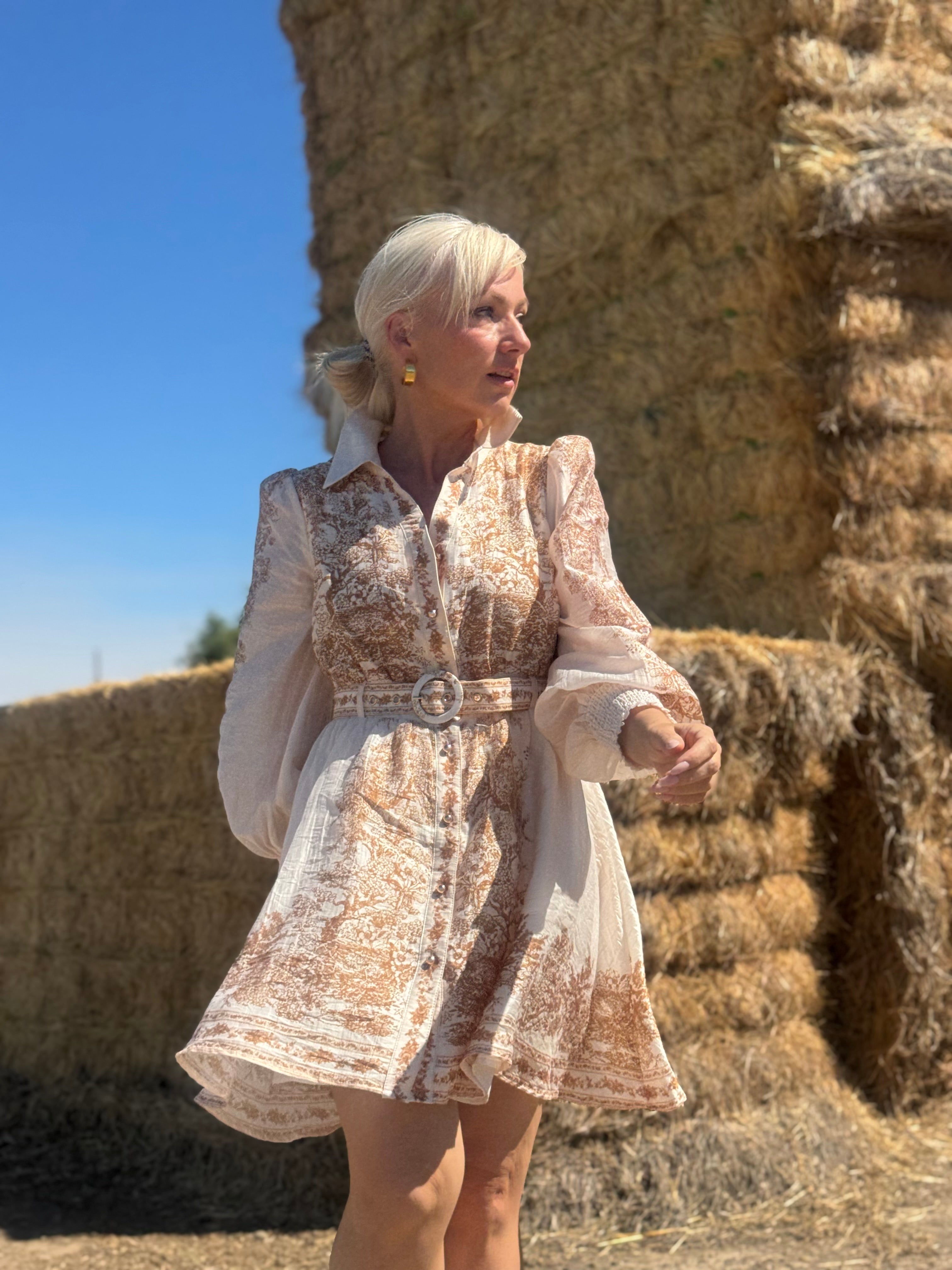 Canyon Toile Shirt Dress