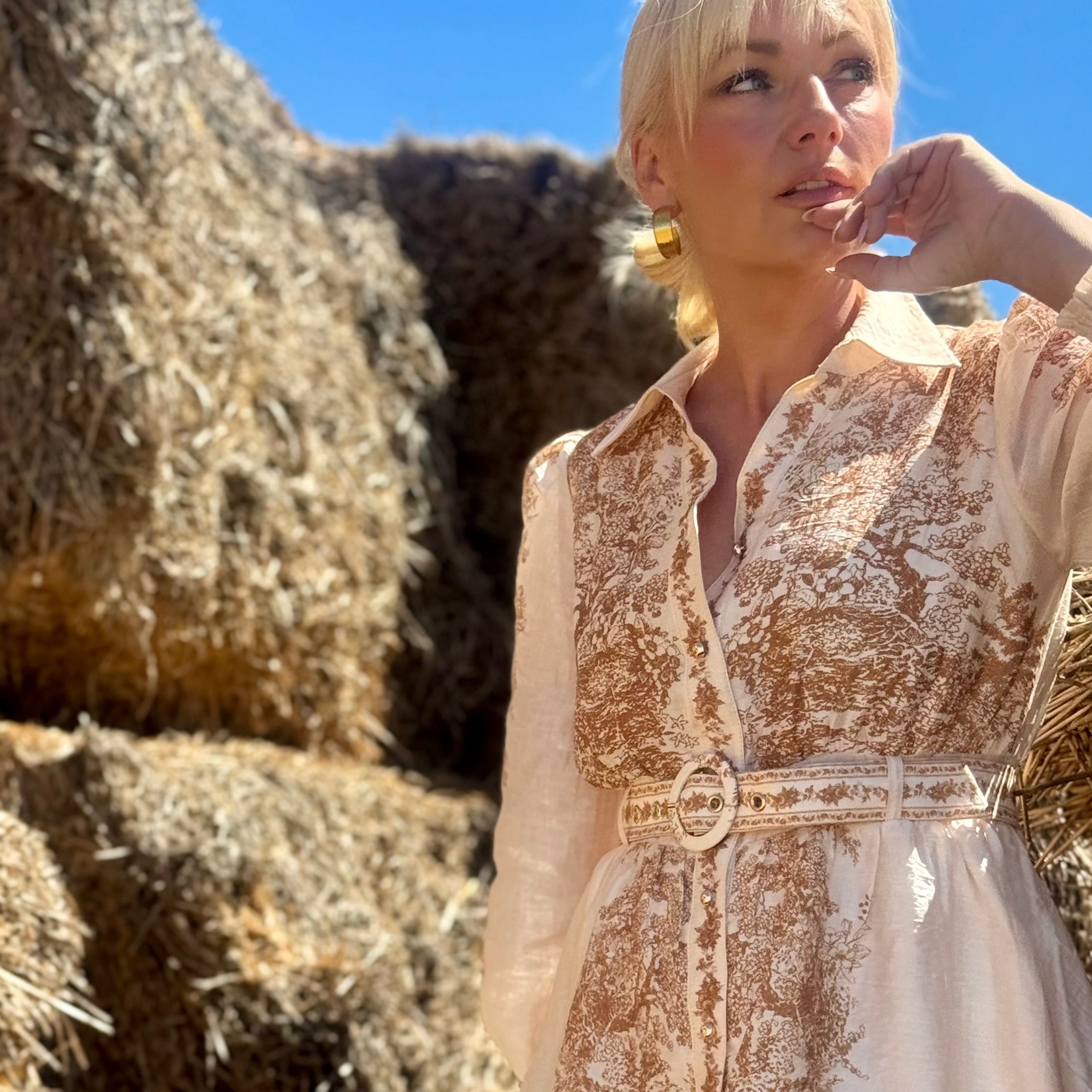 Canyon Toile Shirt Dress