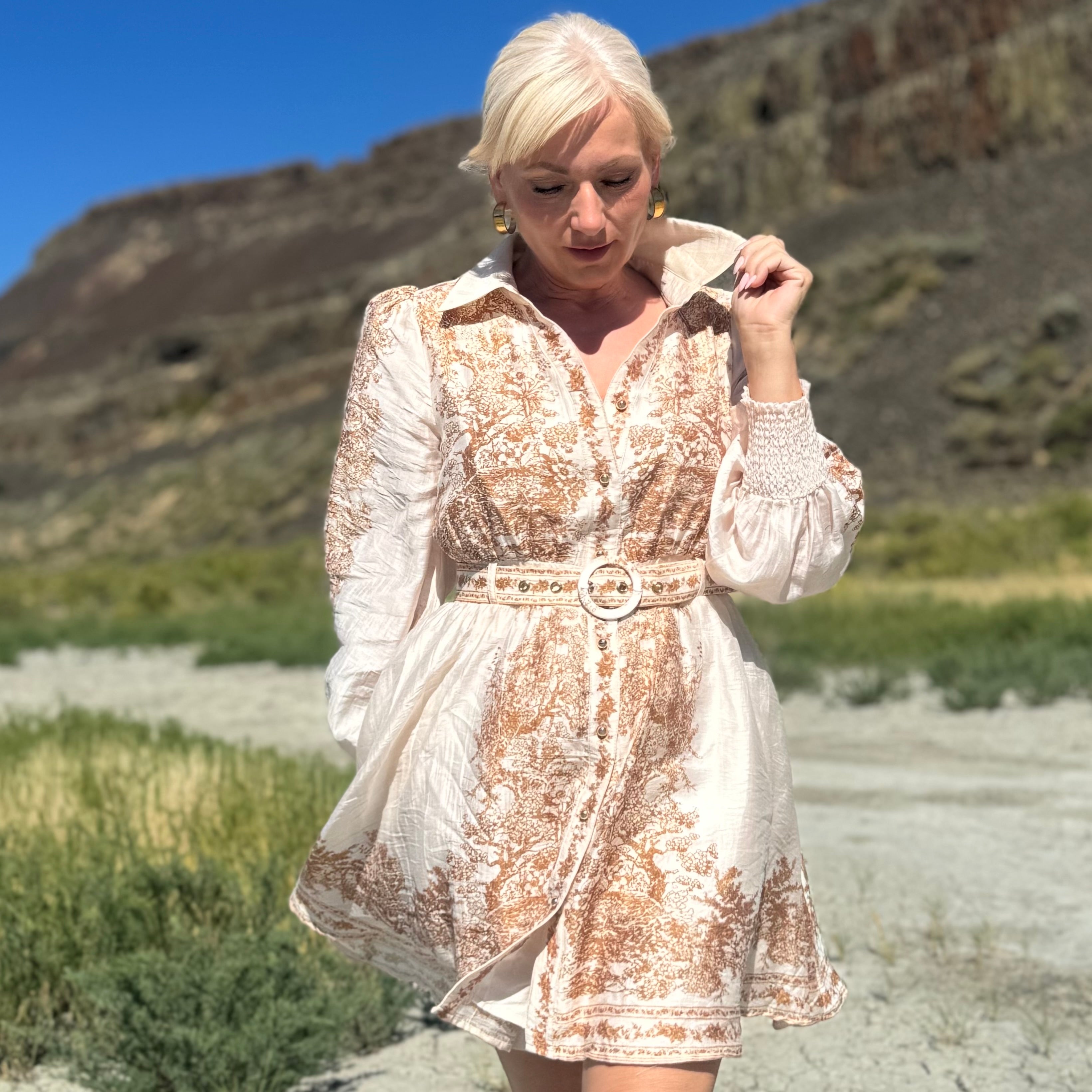 Canyon Toile Shirt Dress