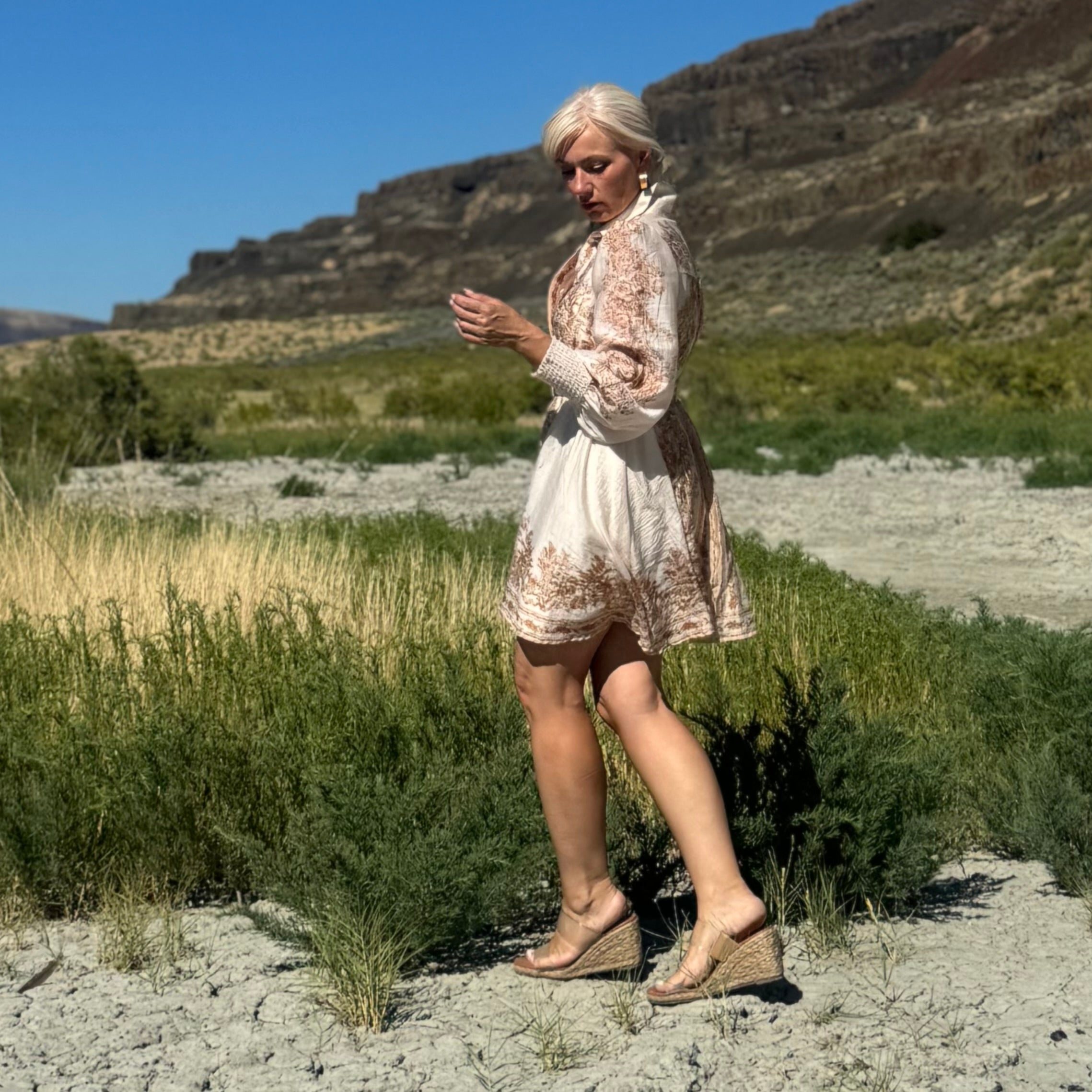 Canyon Toile Shirt Dress