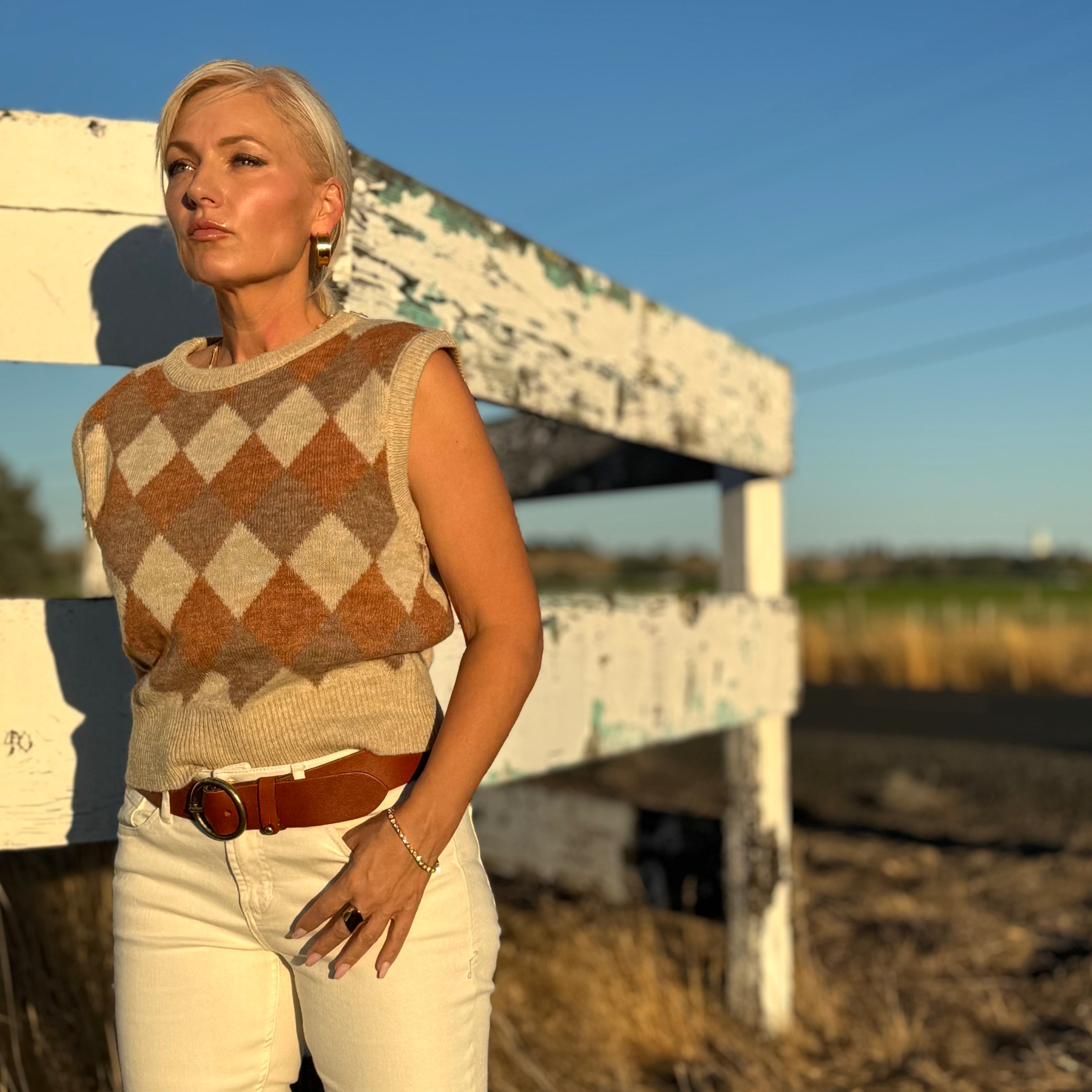 Argyle Knit Sweater Vest