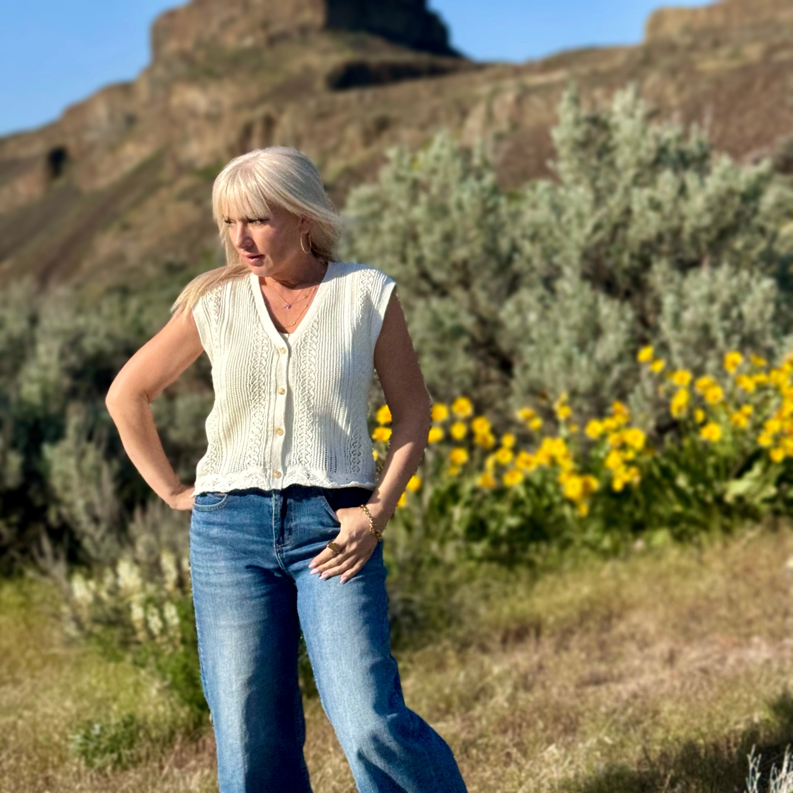 Cecilia Knit Sweater Vest