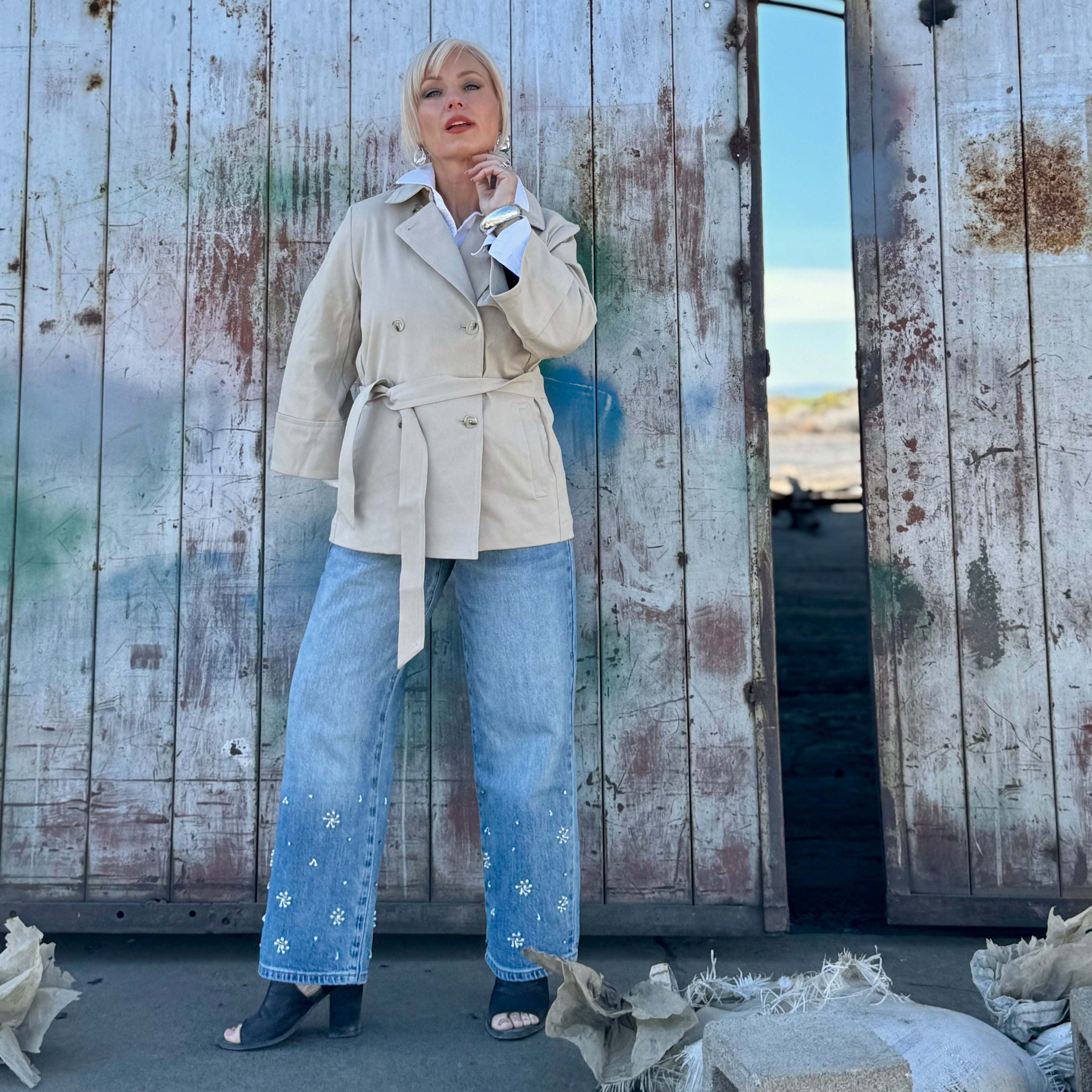 The Starlight Embellished Denim