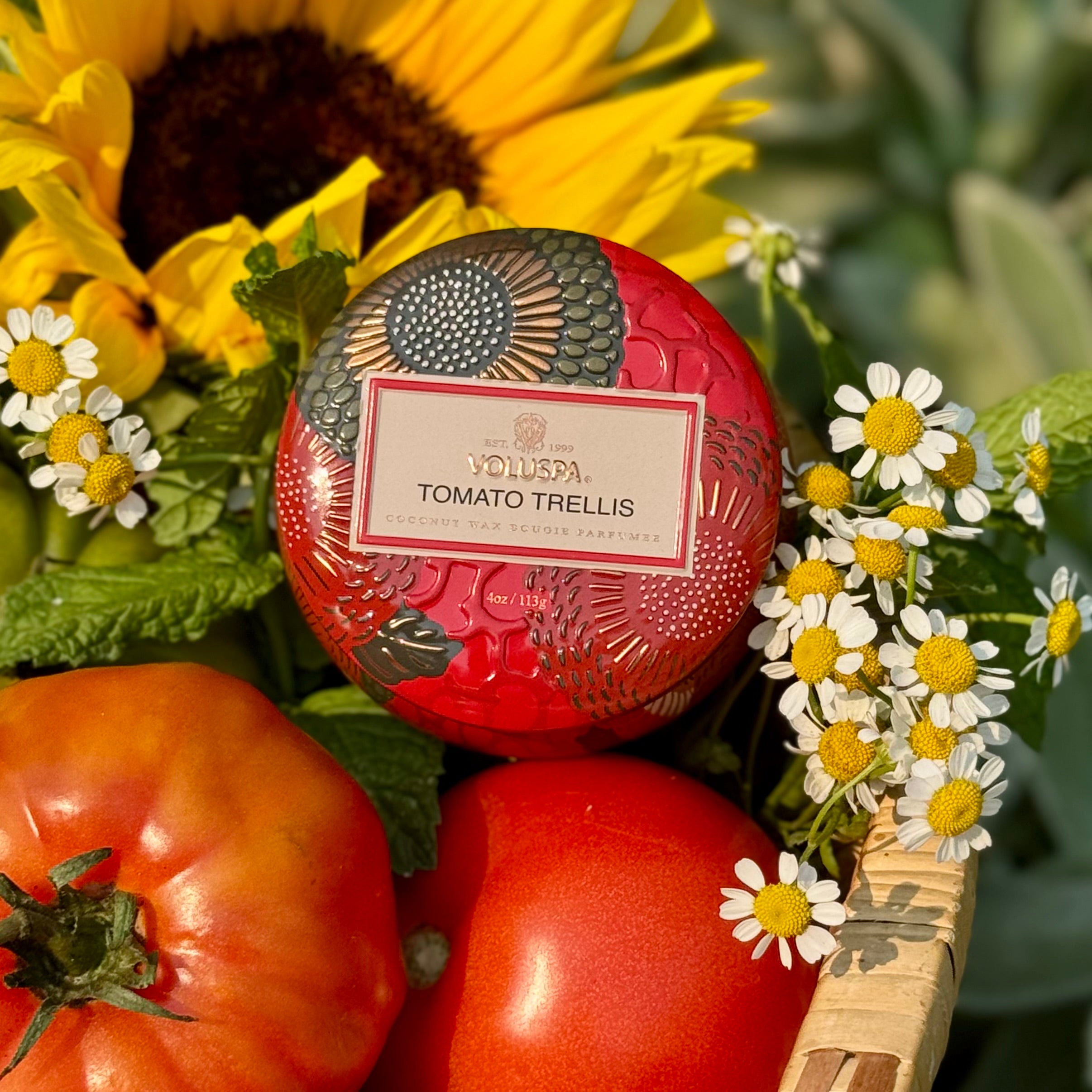 TOMATO TRELLIS Mini Tin Candle