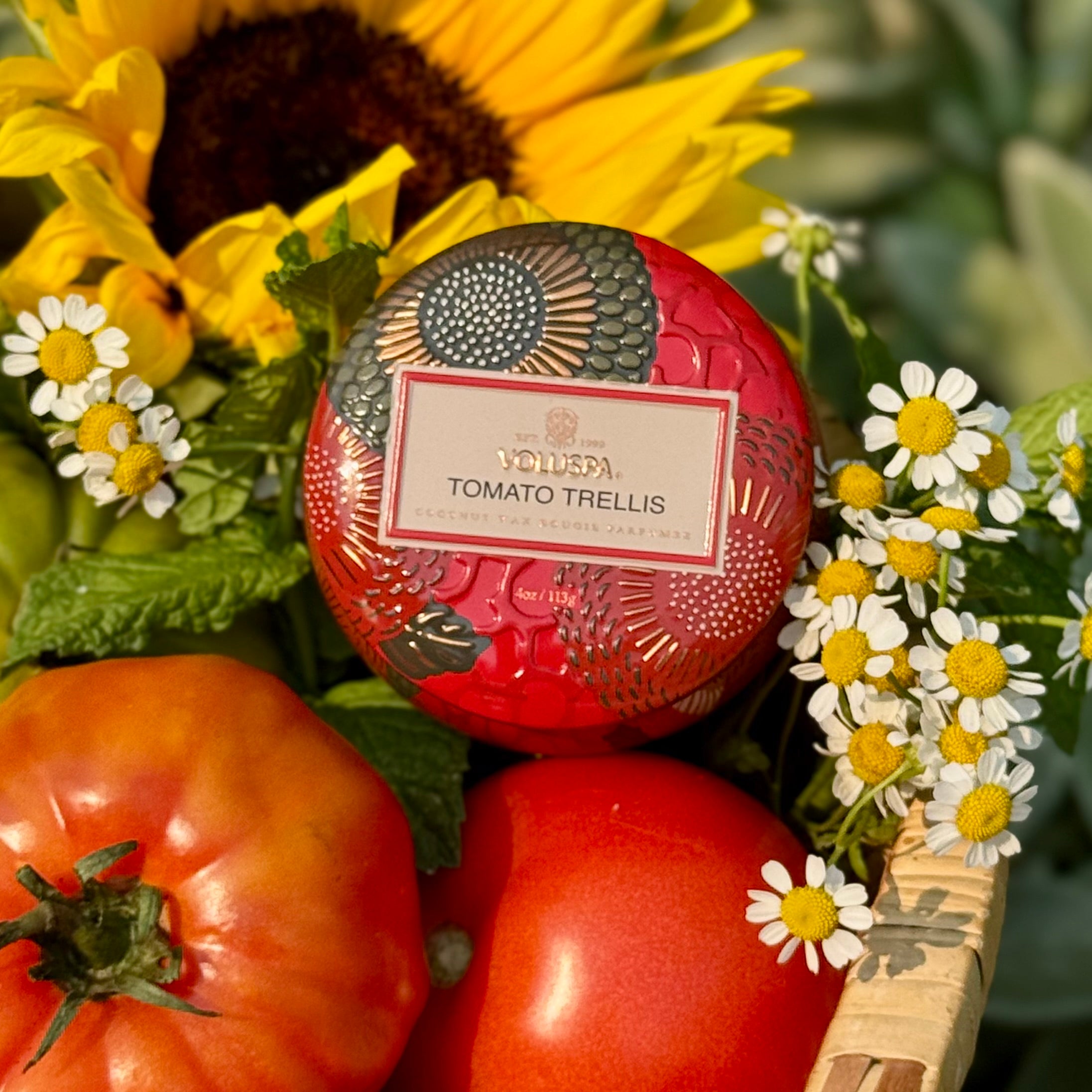 TOMATO TRELLIS Mini Tin Candle