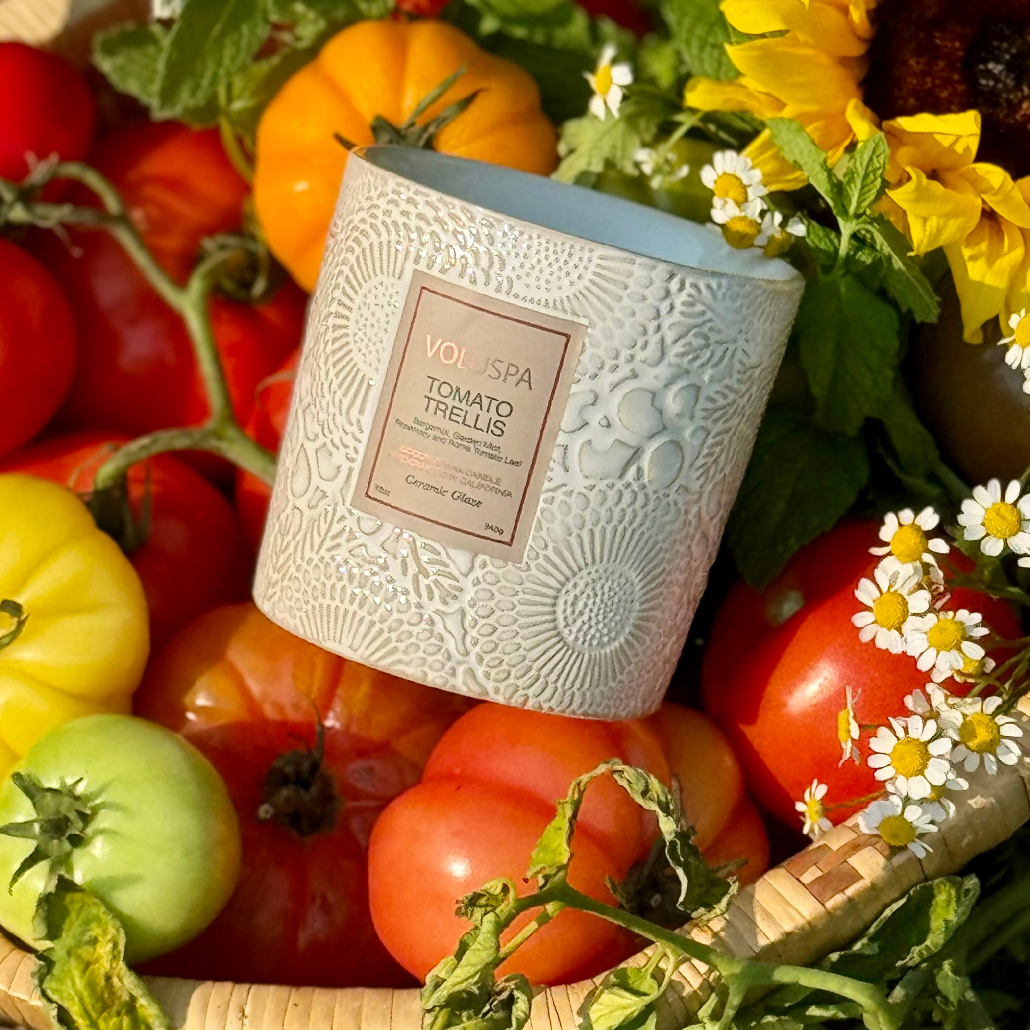 TOMATO TRELLIS Ceramic Luxe Classic Candle
