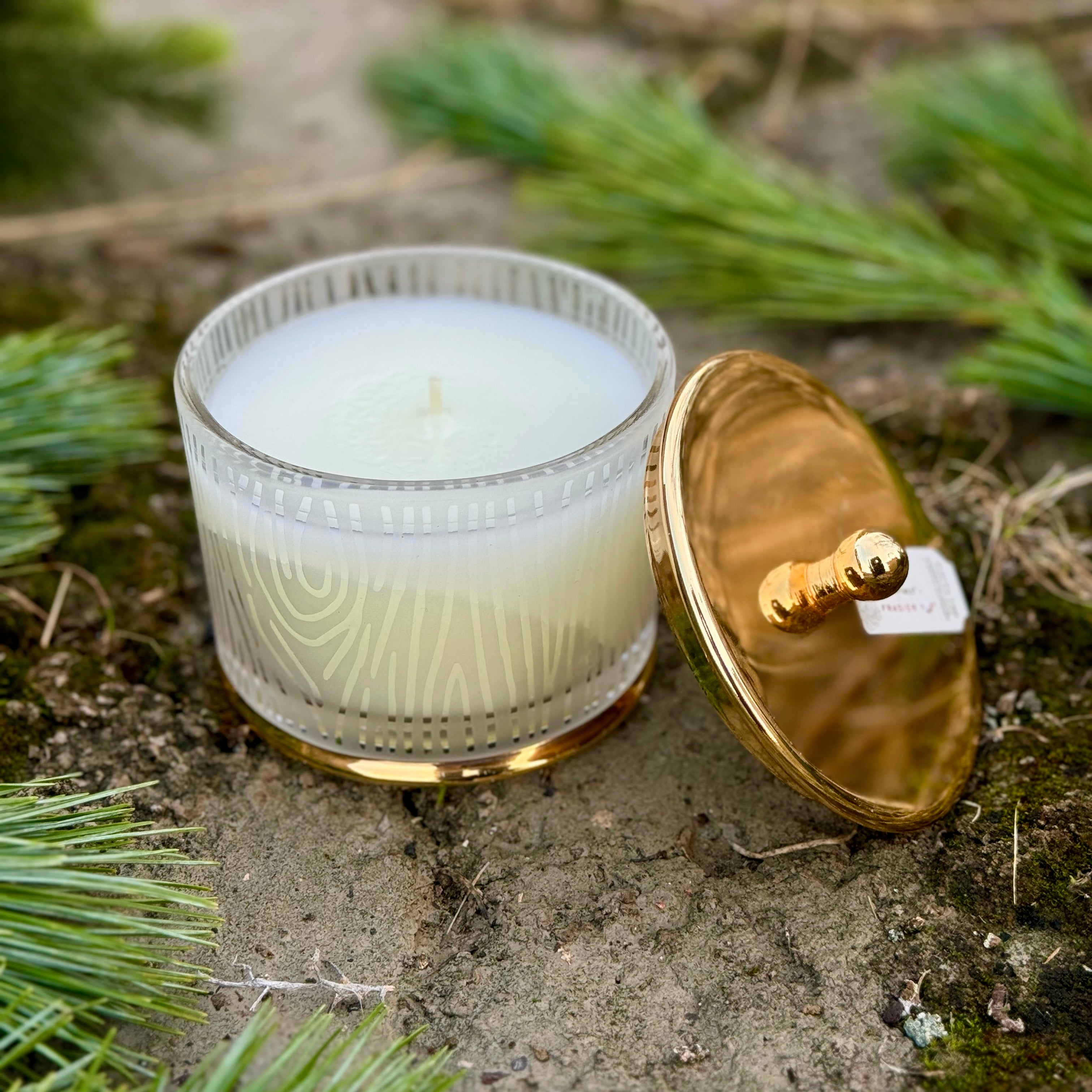 Frasier Fir Gilded Frosted Wood Grain Candle