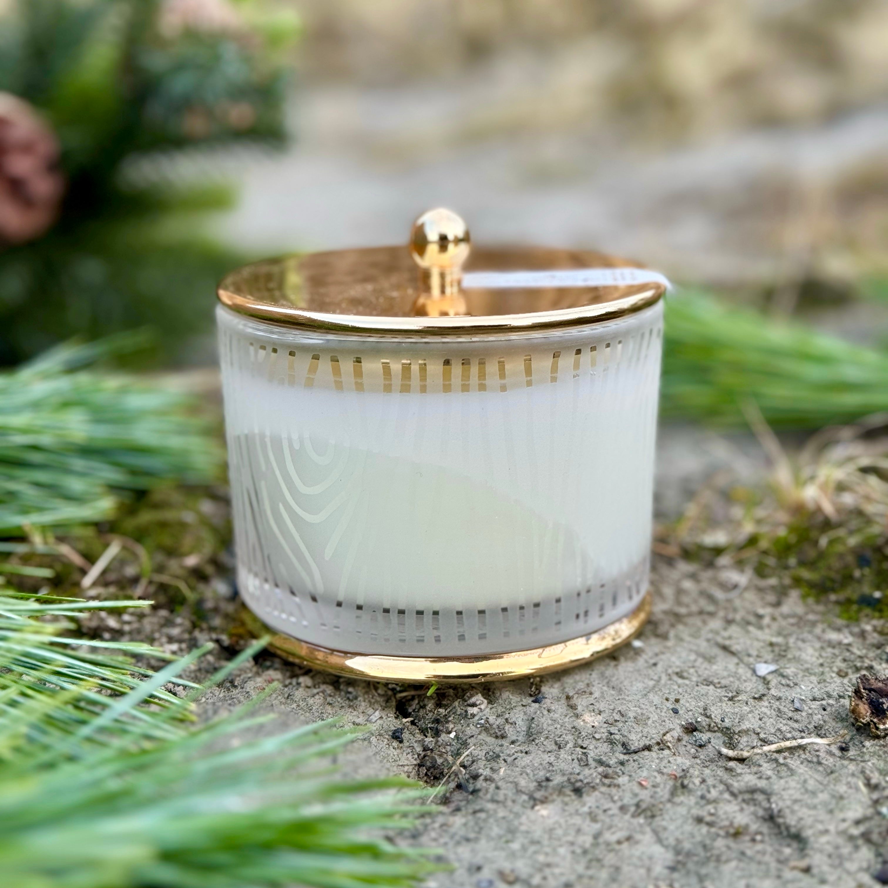 Frasier Fir Gilded Frosted Wood Grain Candle
