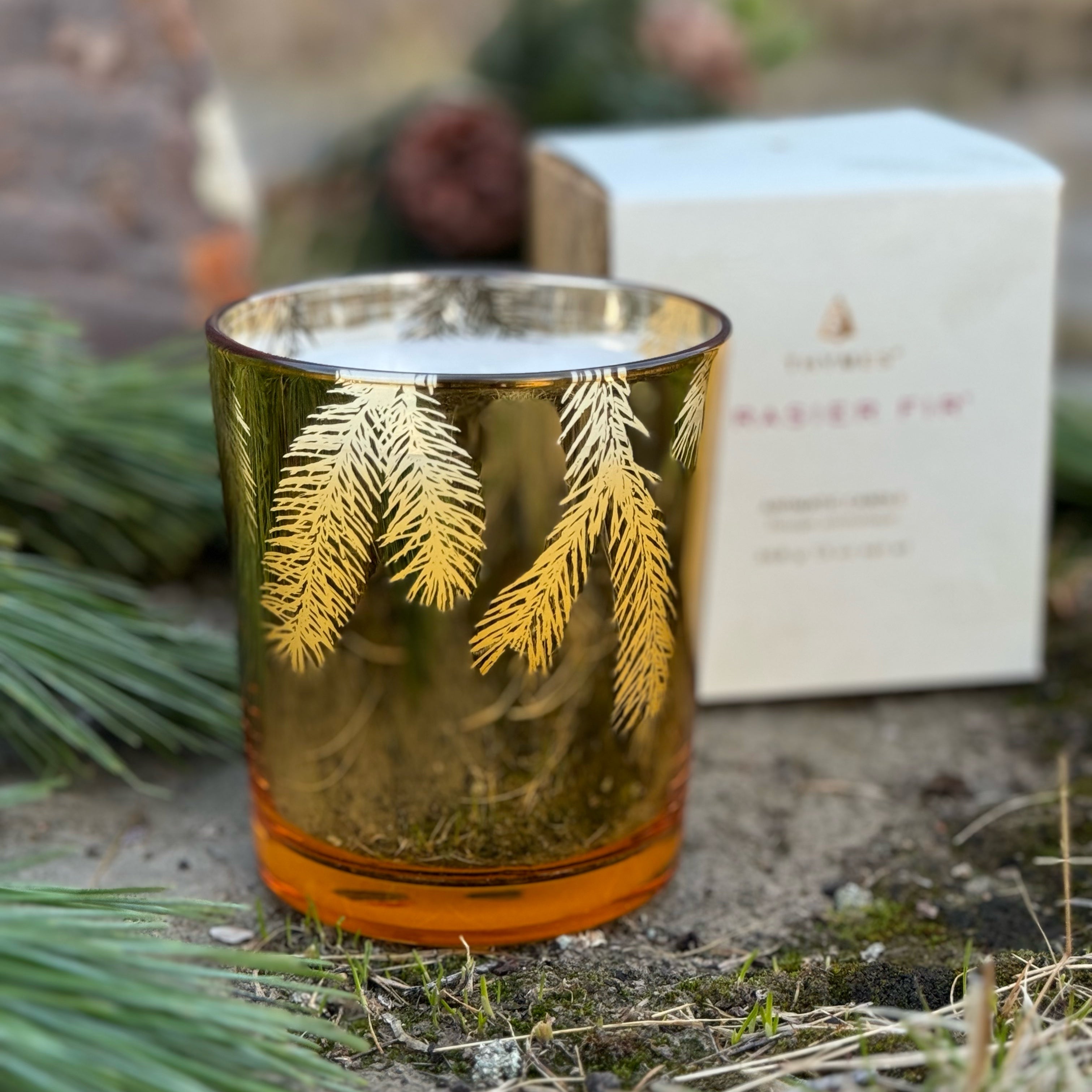 Frasier Fir Gilded 13 oz Poured Candle