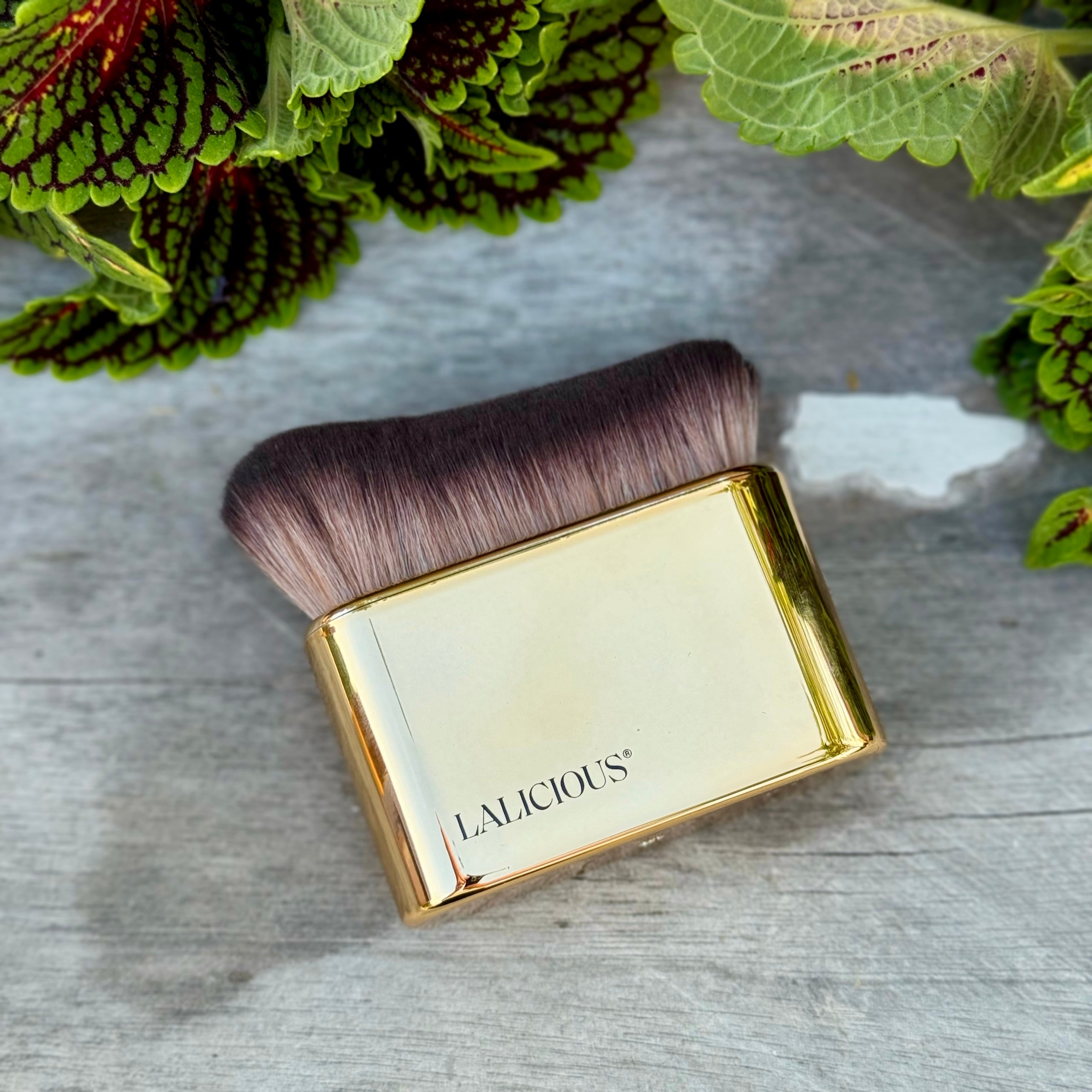 The Body Brush