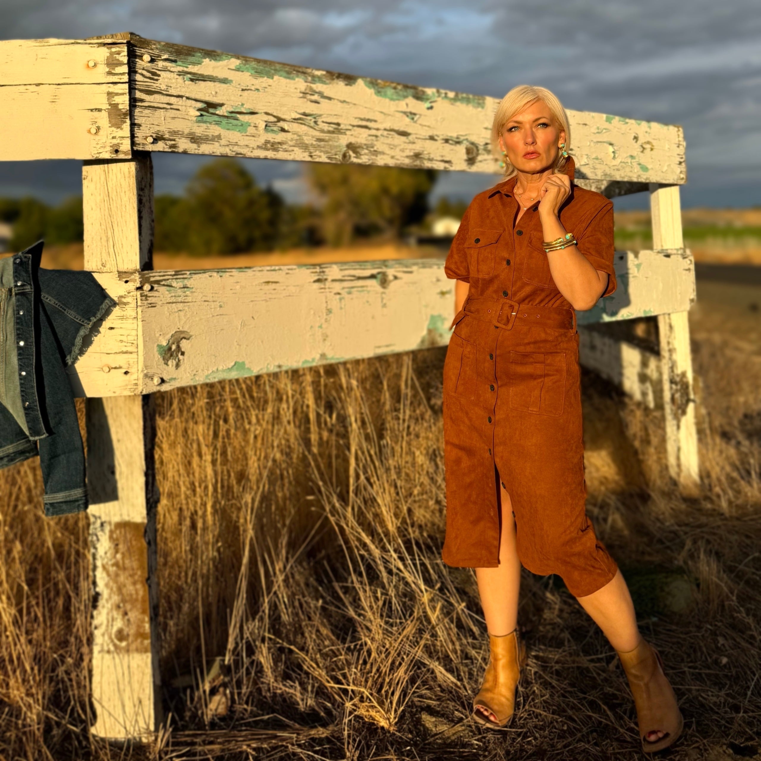 Raquel Faux Suede dress