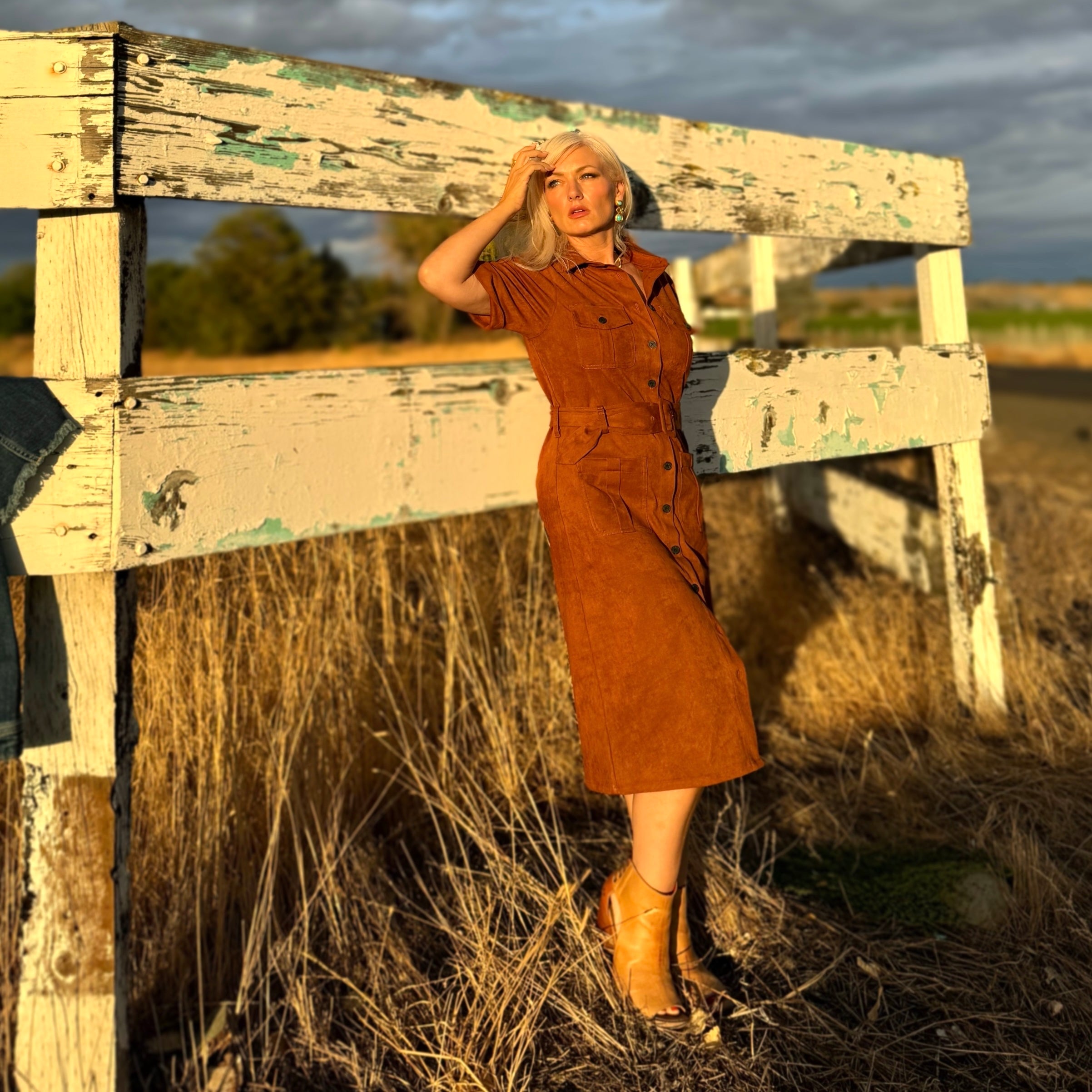 Raquel Faux Suede dress