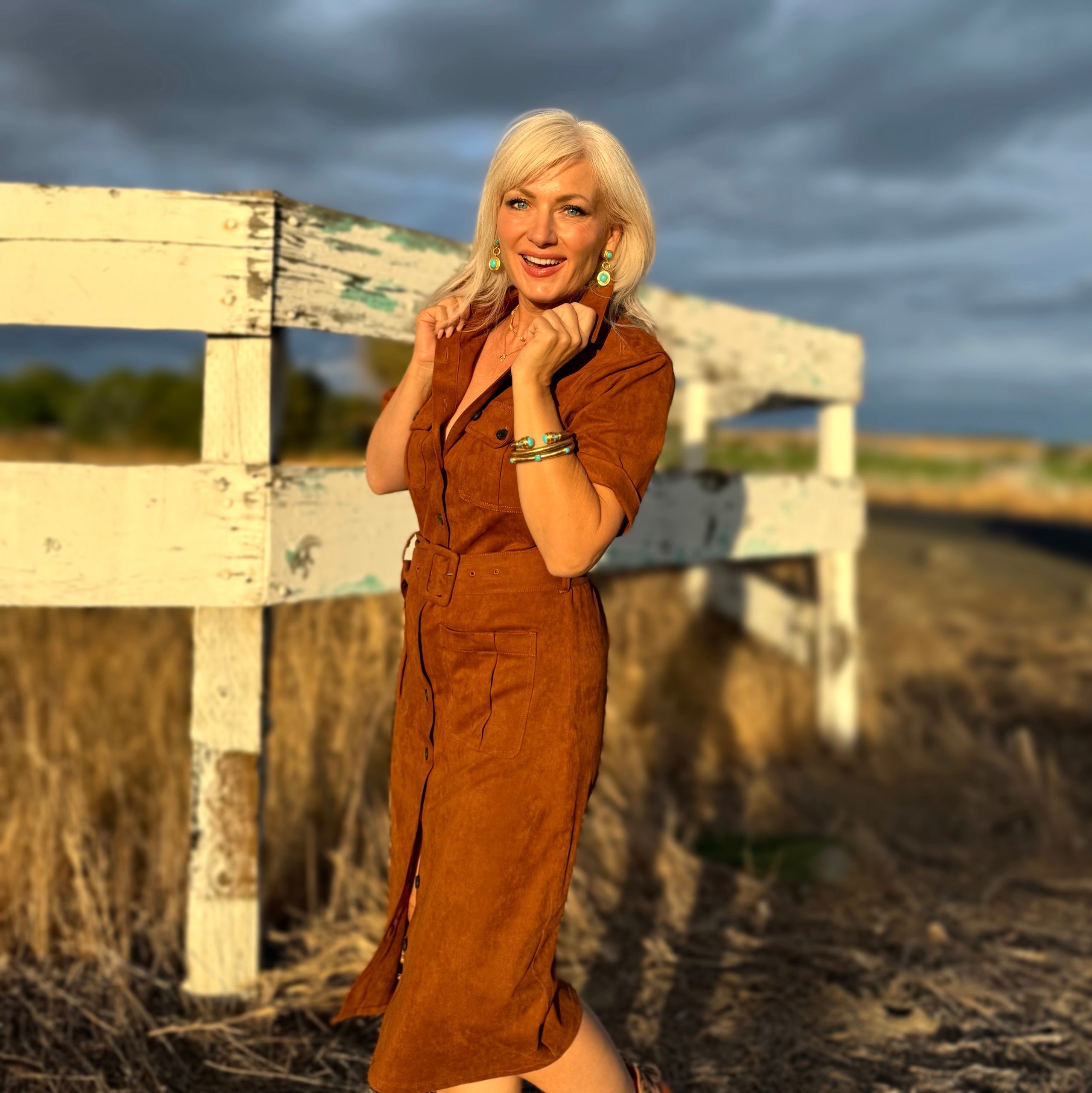 Raquel Faux Suede dress