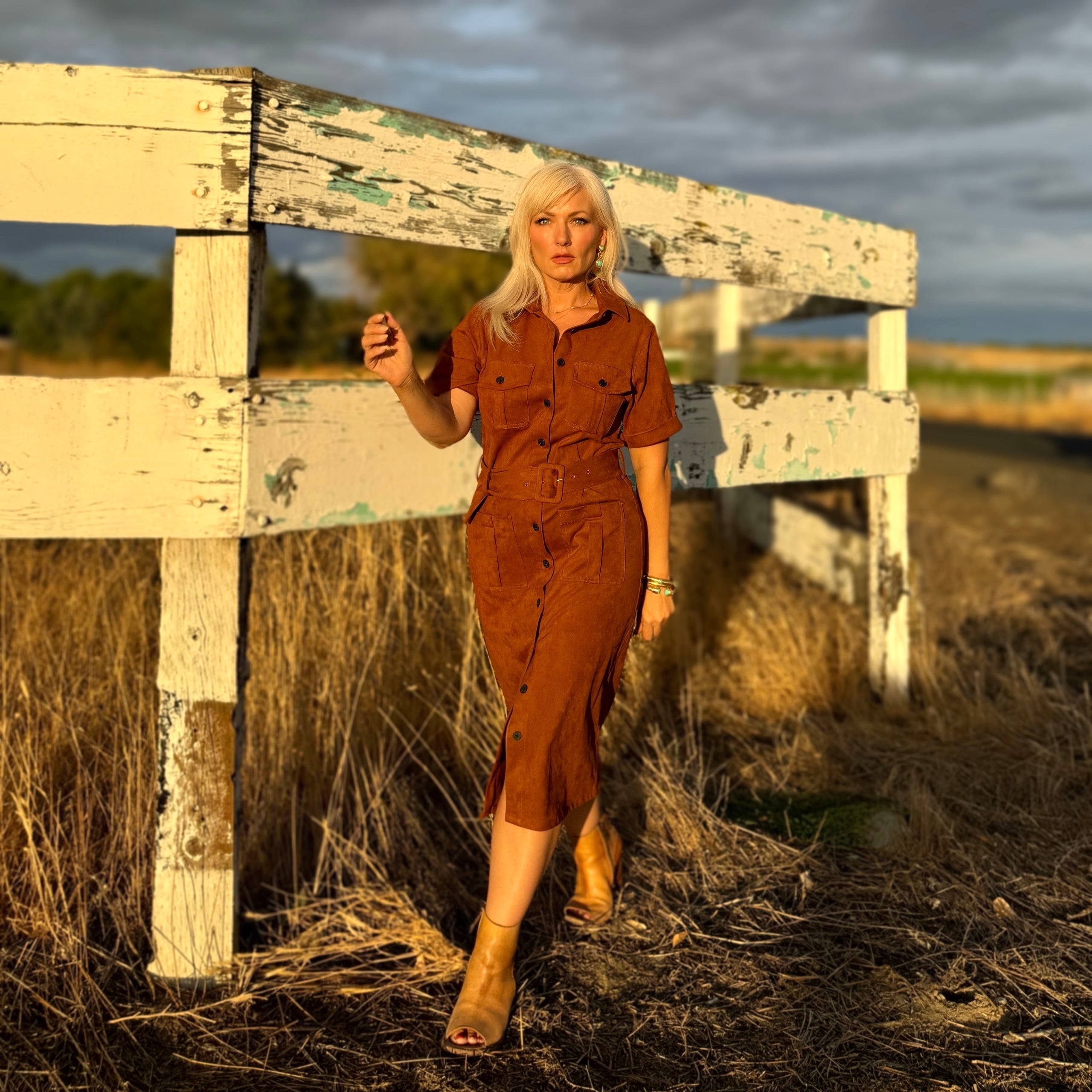 Raquel Faux Suede dress