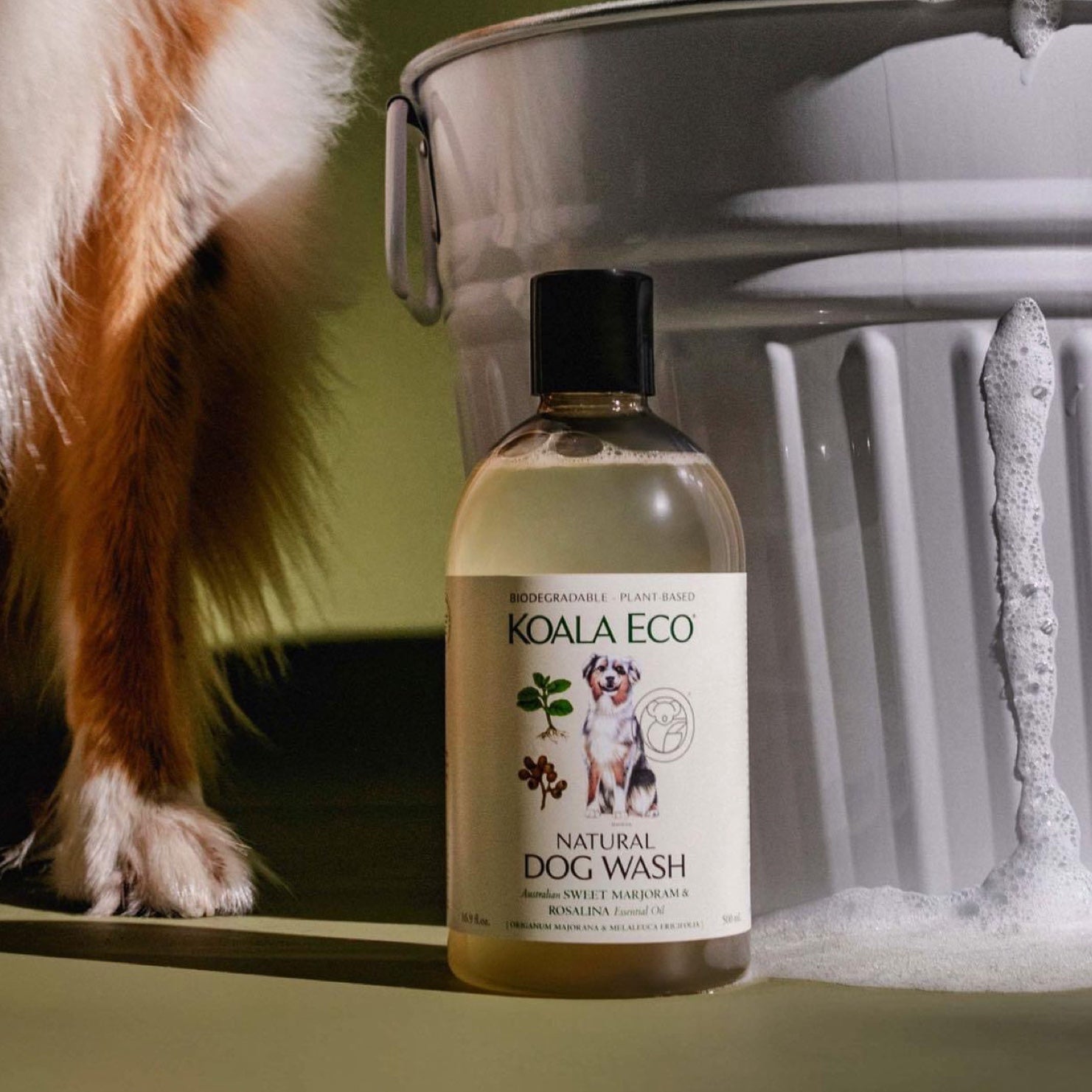 Natural dog fashion wash