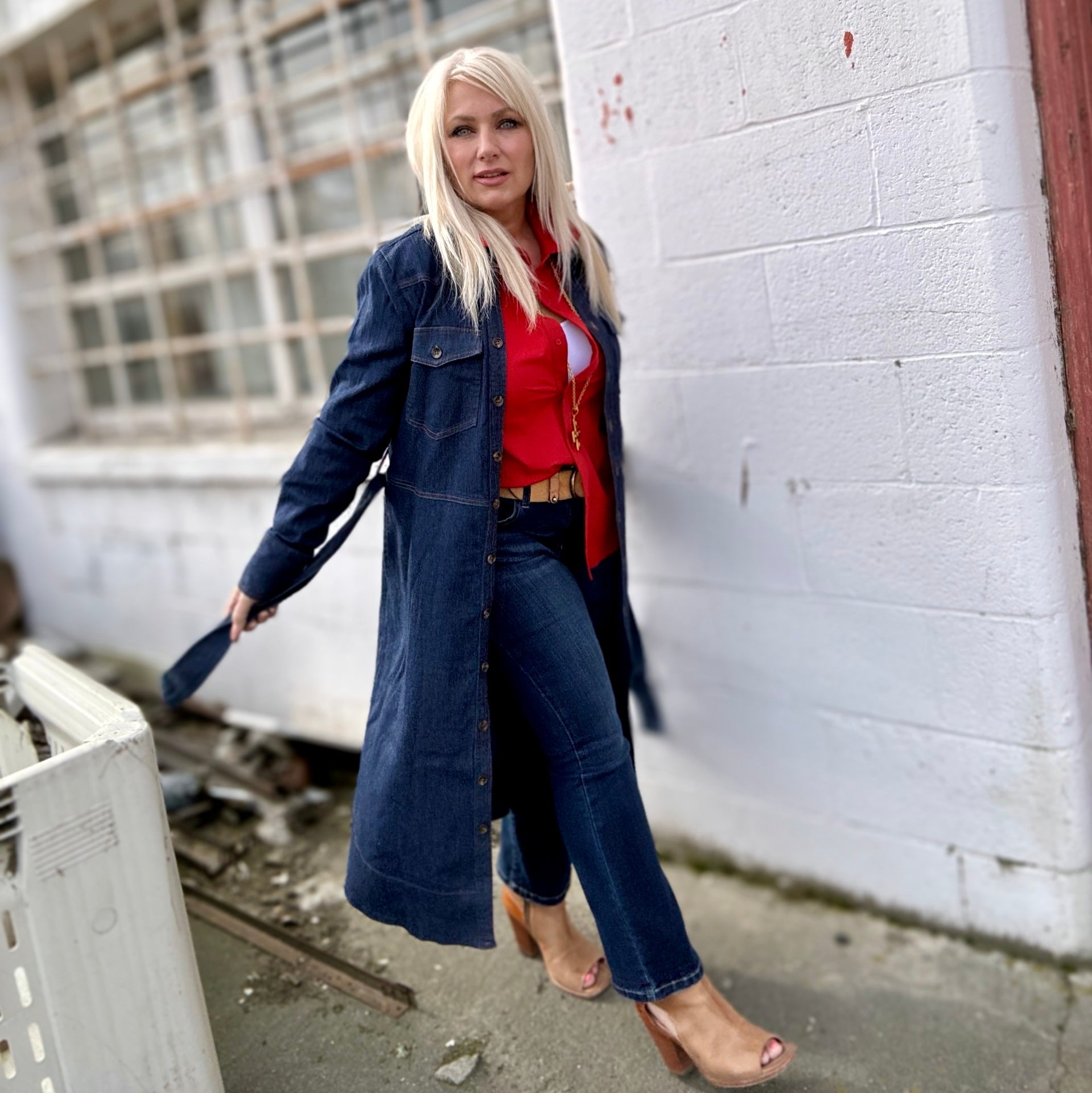 Tabitha Stretch Denim Dress