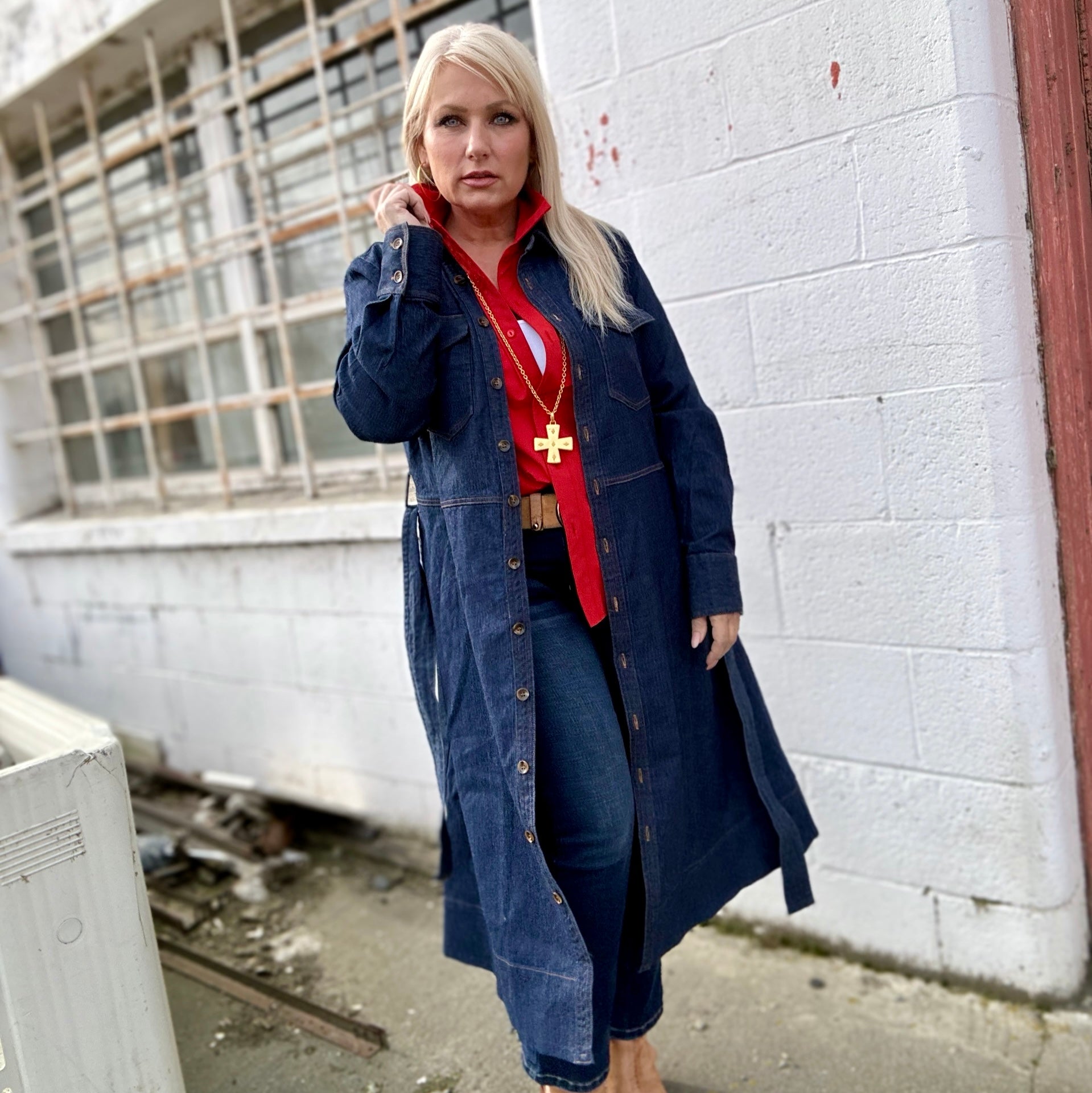 Tabitha Stretch Denim Dress