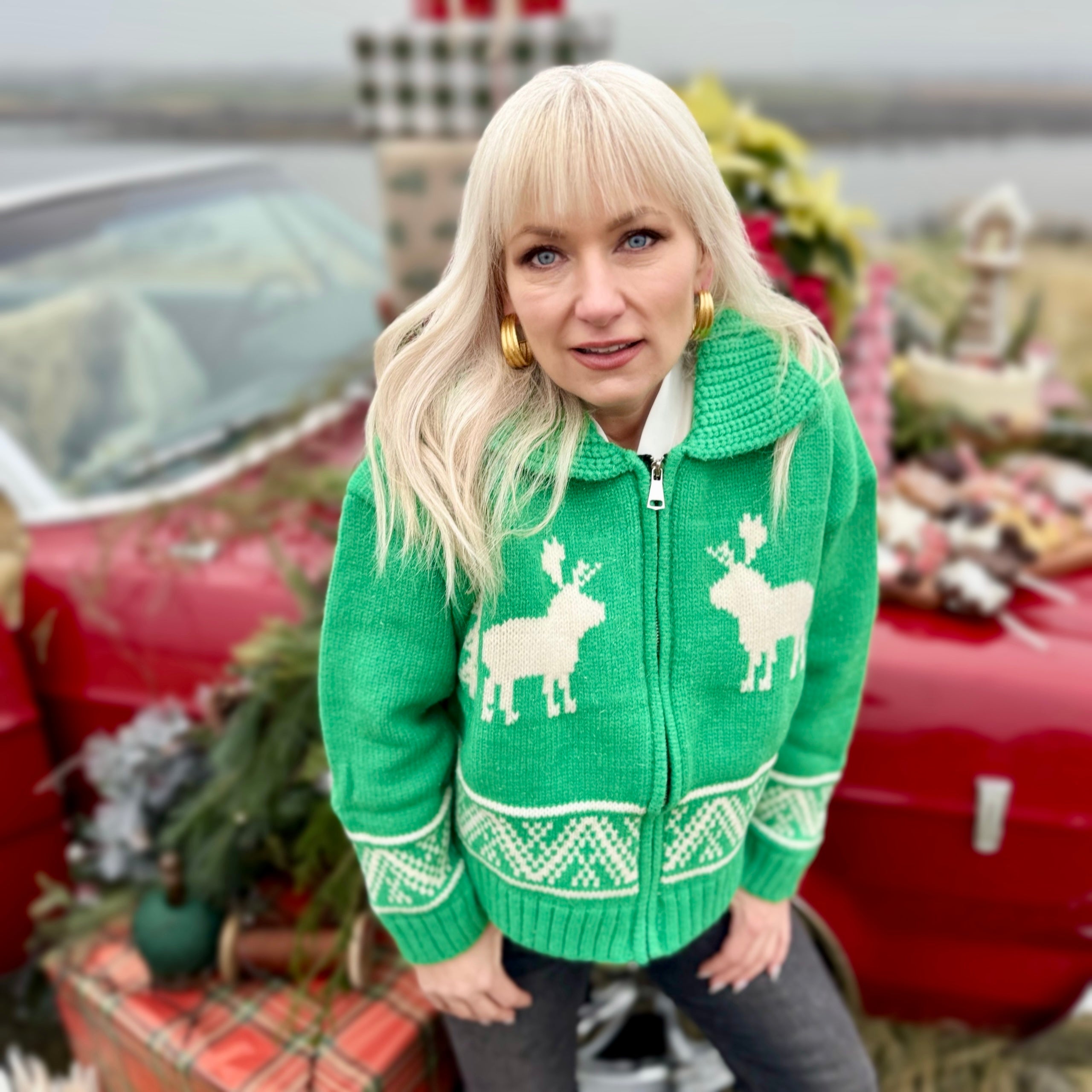 Enchanted Reindeer Sweater Cardigan Green (Copy)