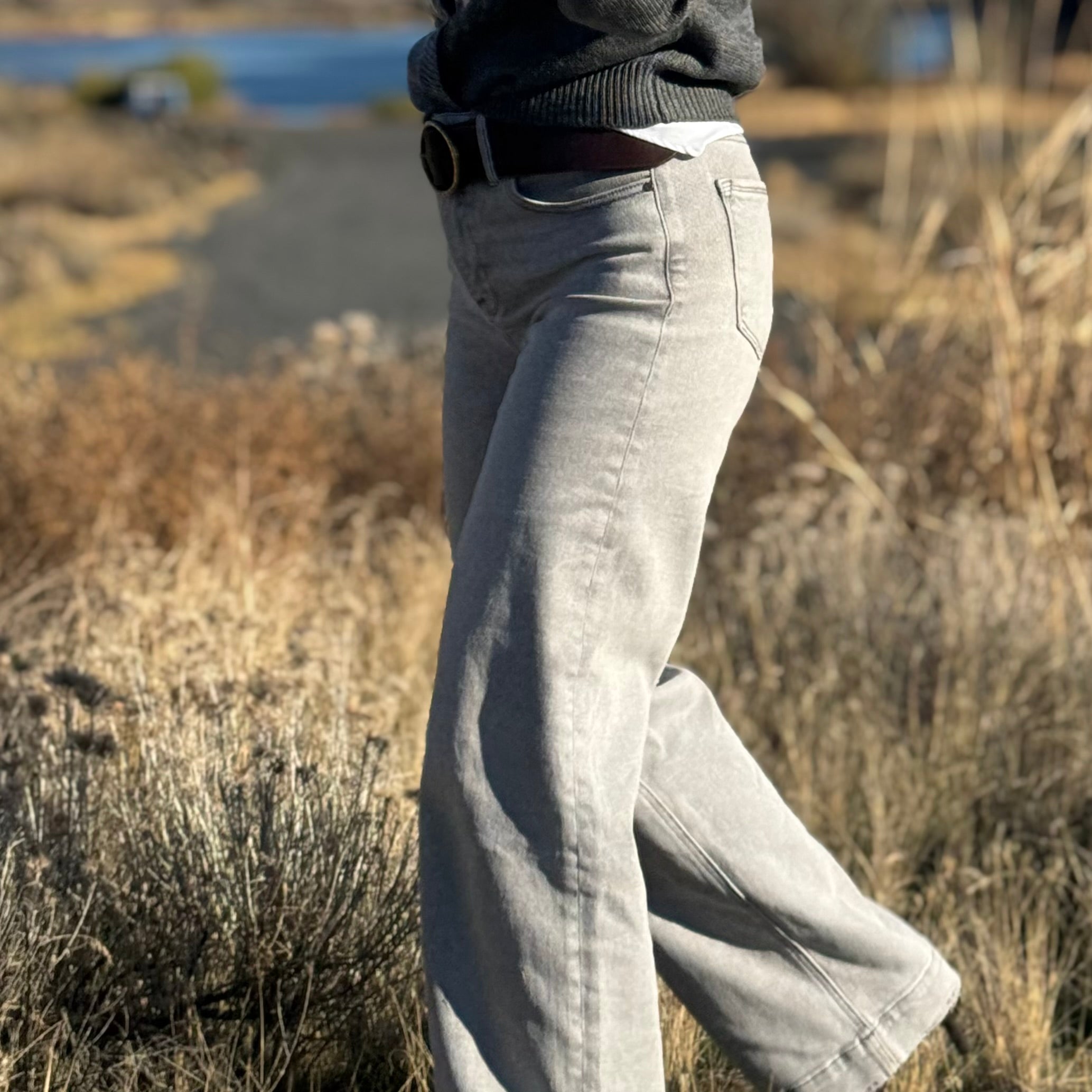 Dove Gray Stretch Jean