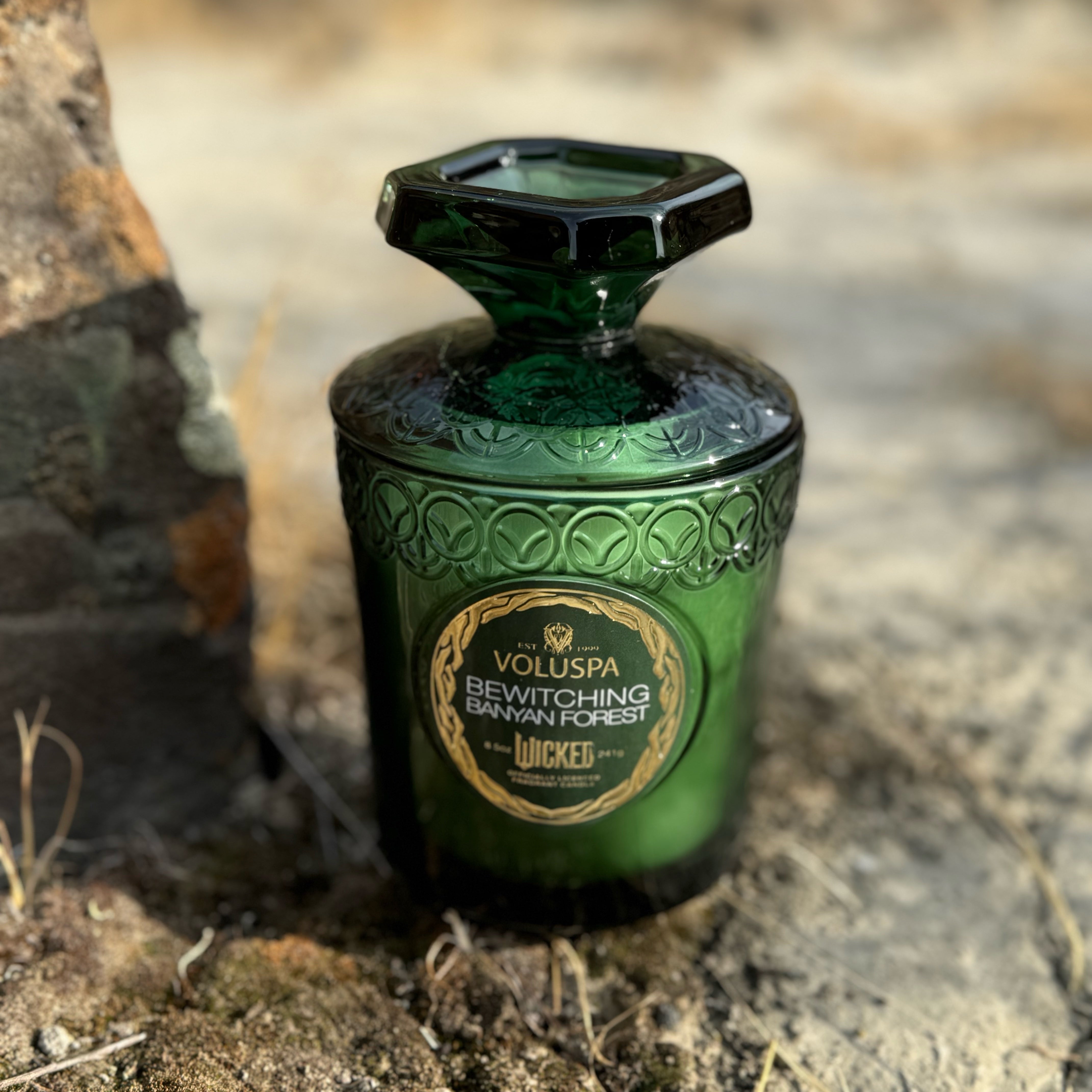 Wicked BEWITCHING BANYAN FOREST Boxed Candle