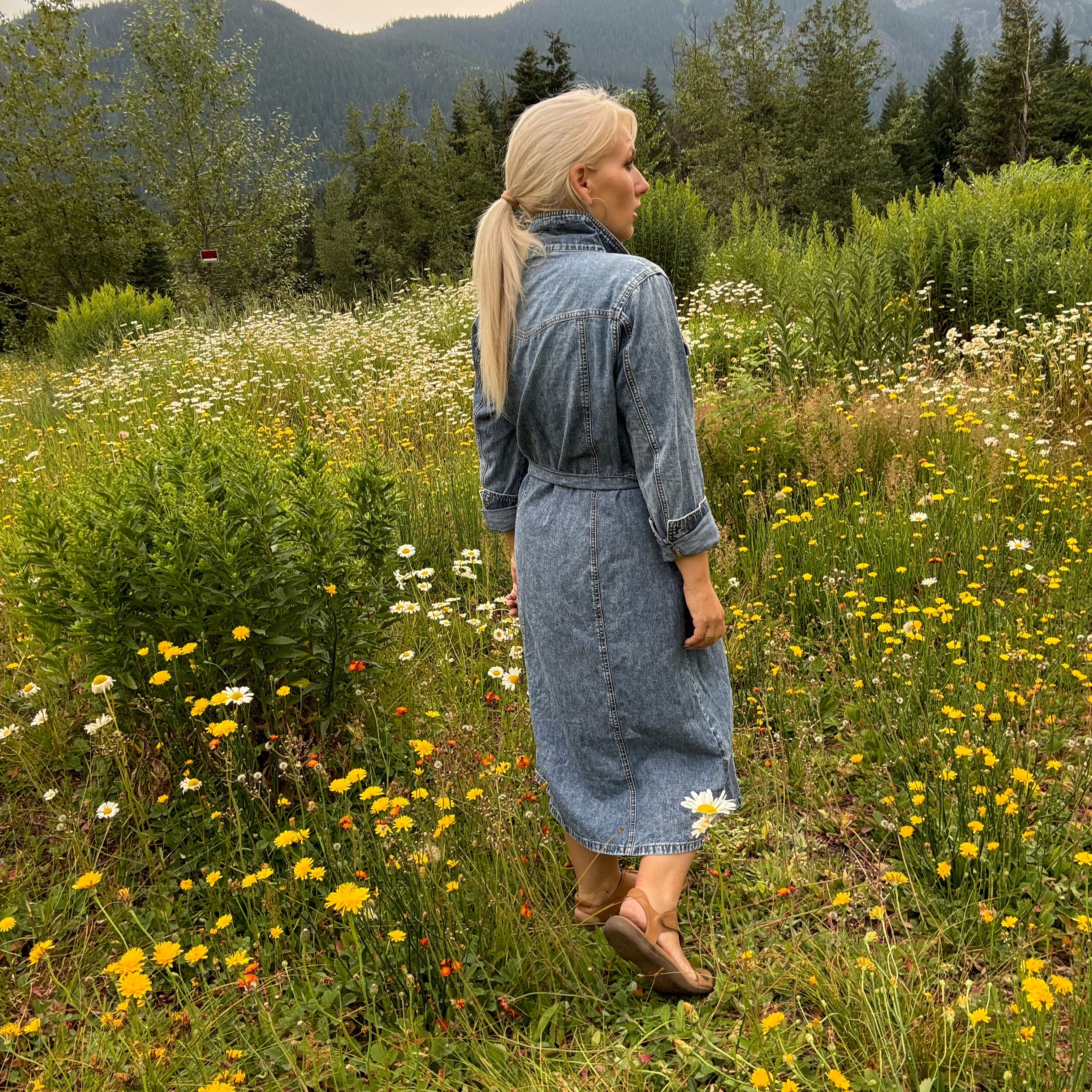 Chloe Denim Shirtdress