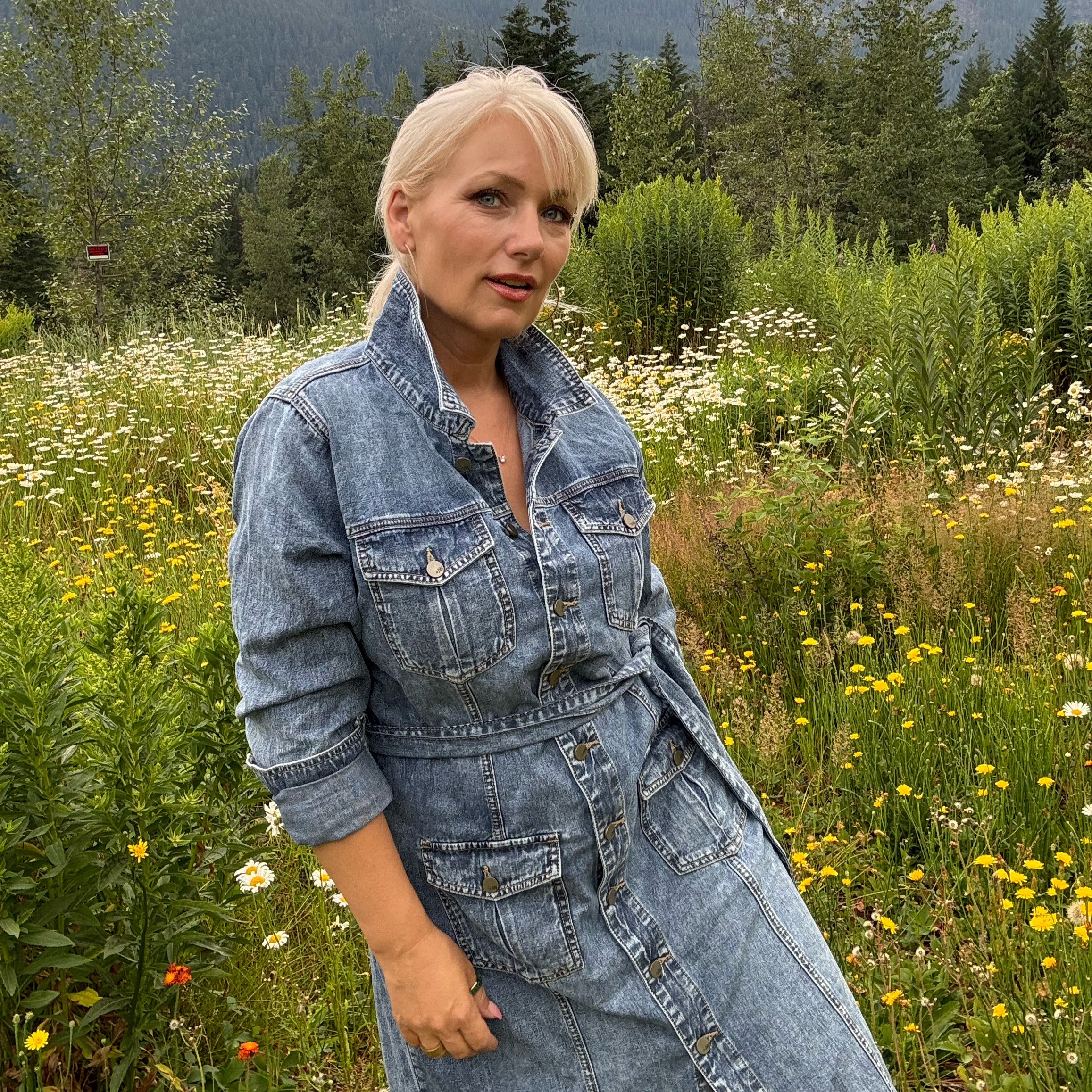 Chloe Denim Shirtdress