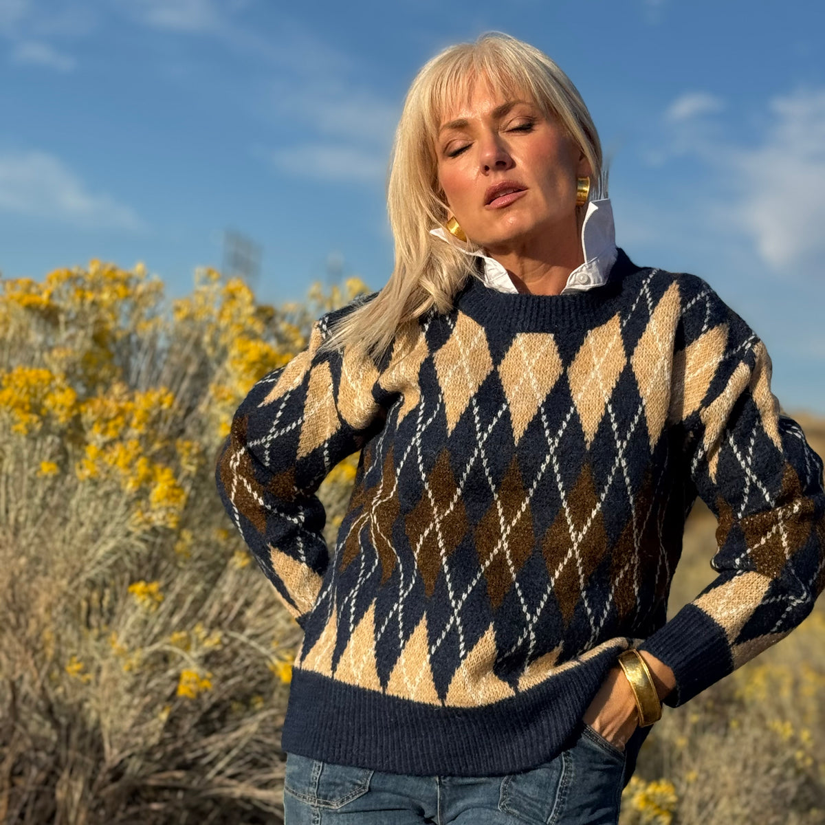 High Desert Argyle Sweater