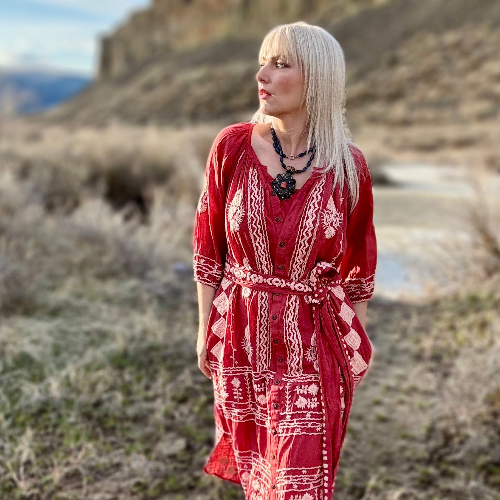 Laguna Embroidered Dress