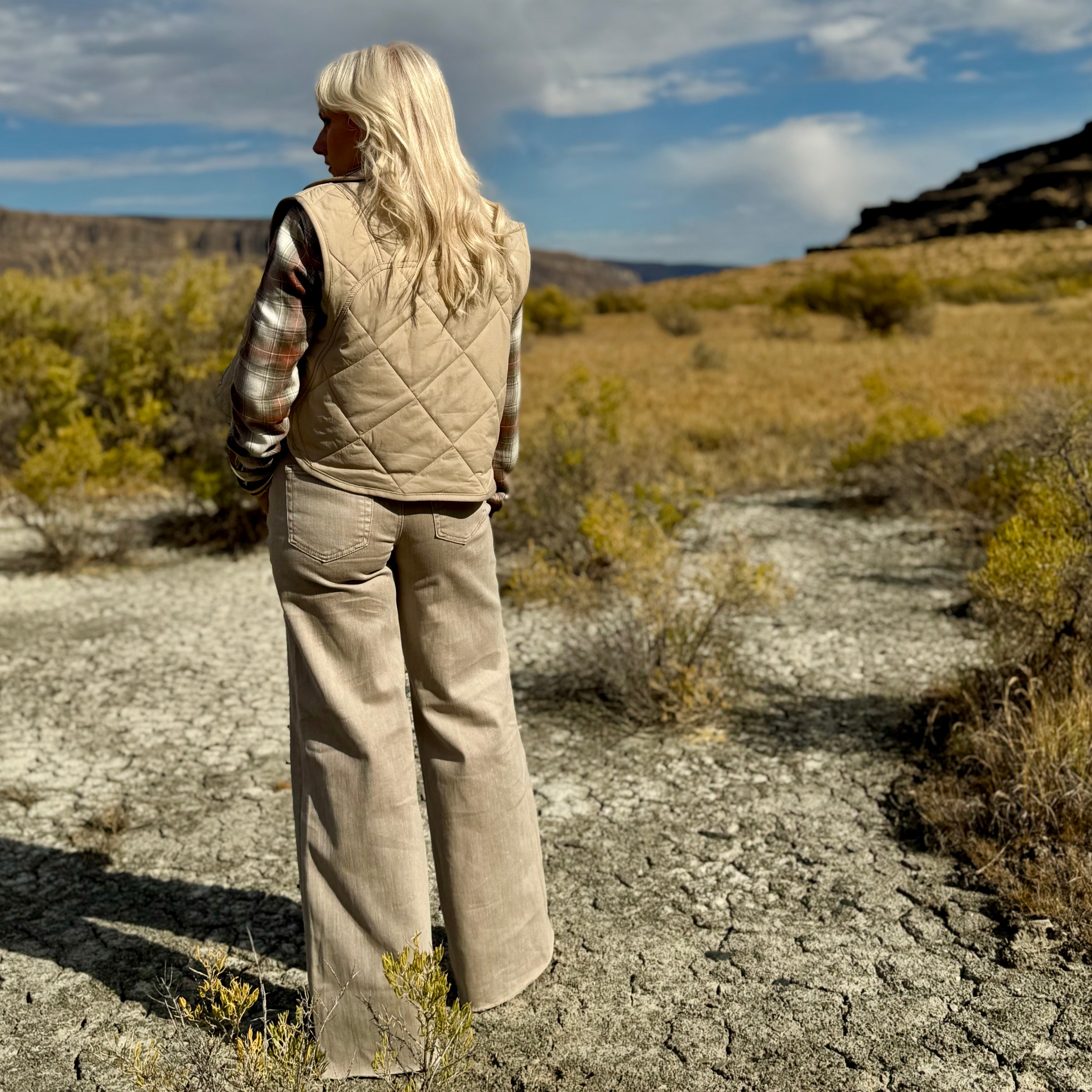 Mojave Shimmer Palazzo Jeans