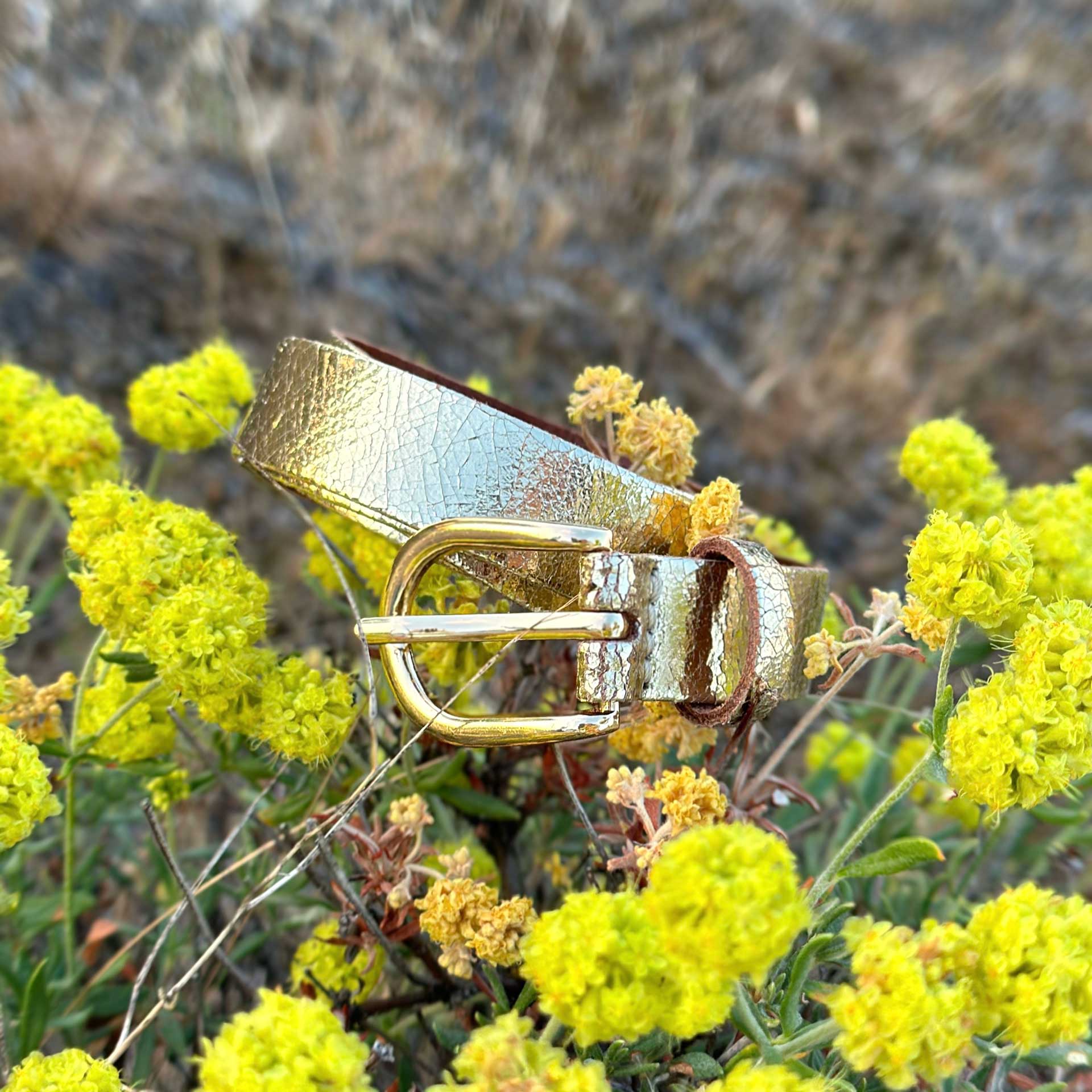 Eva Golden Metallic Leather Belt