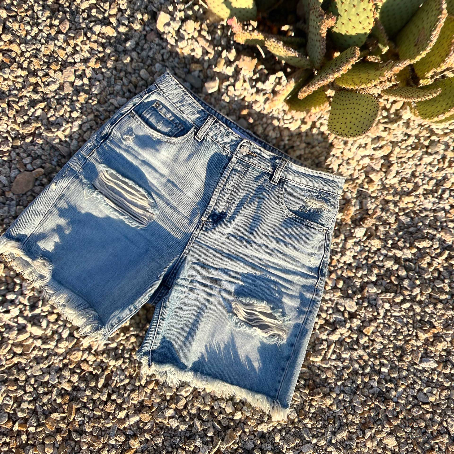 Good Times Denim Shorts