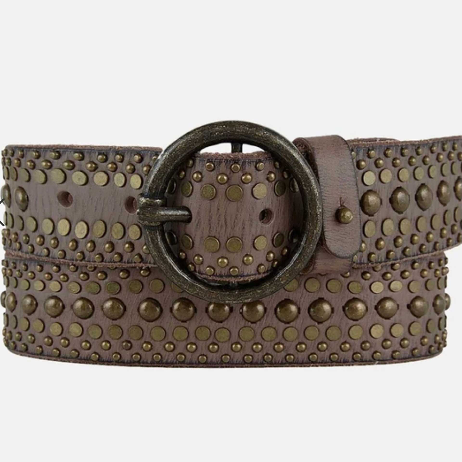 Wandering Ways Studded Belt (Taupe)