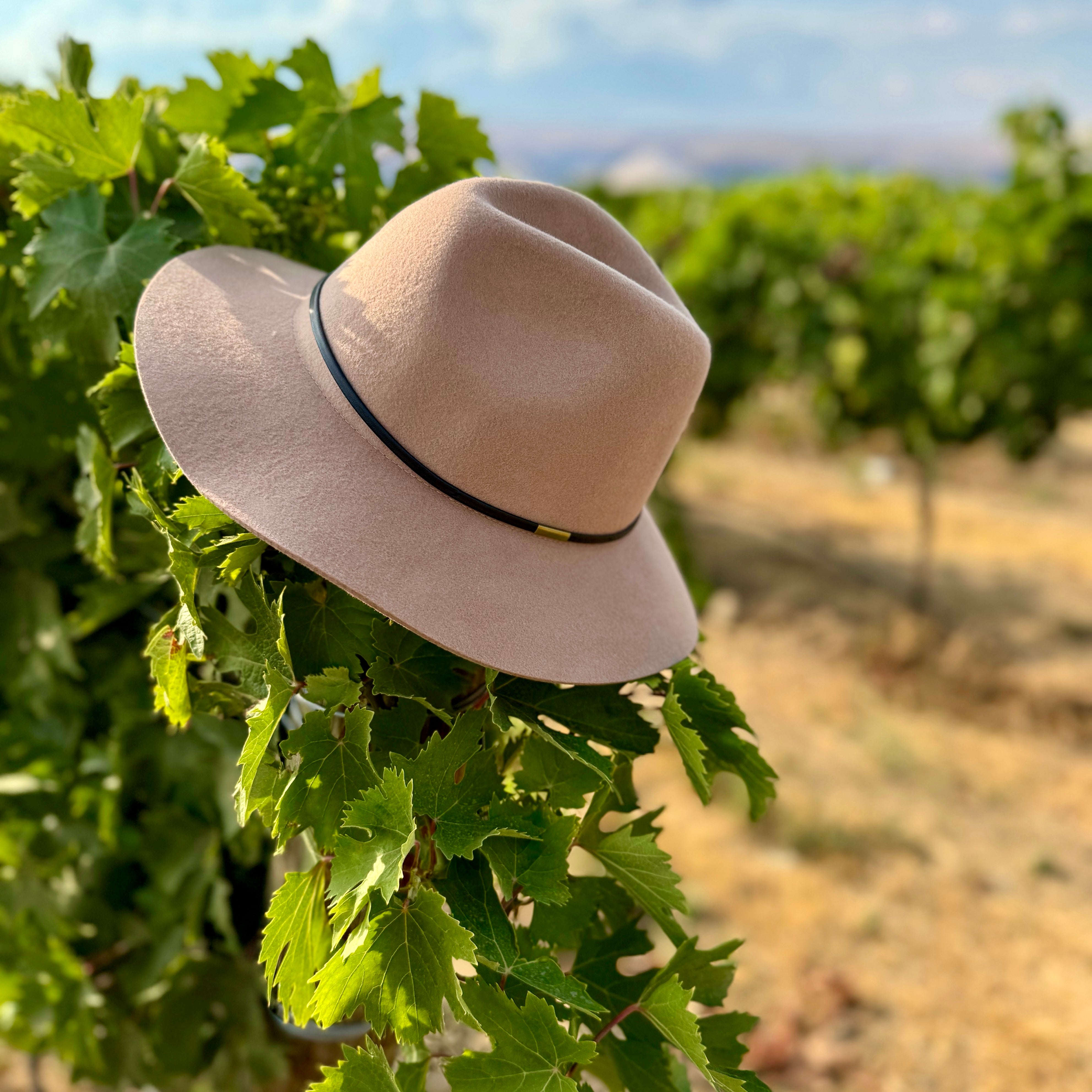 Lula Wool Fedora (Tan)