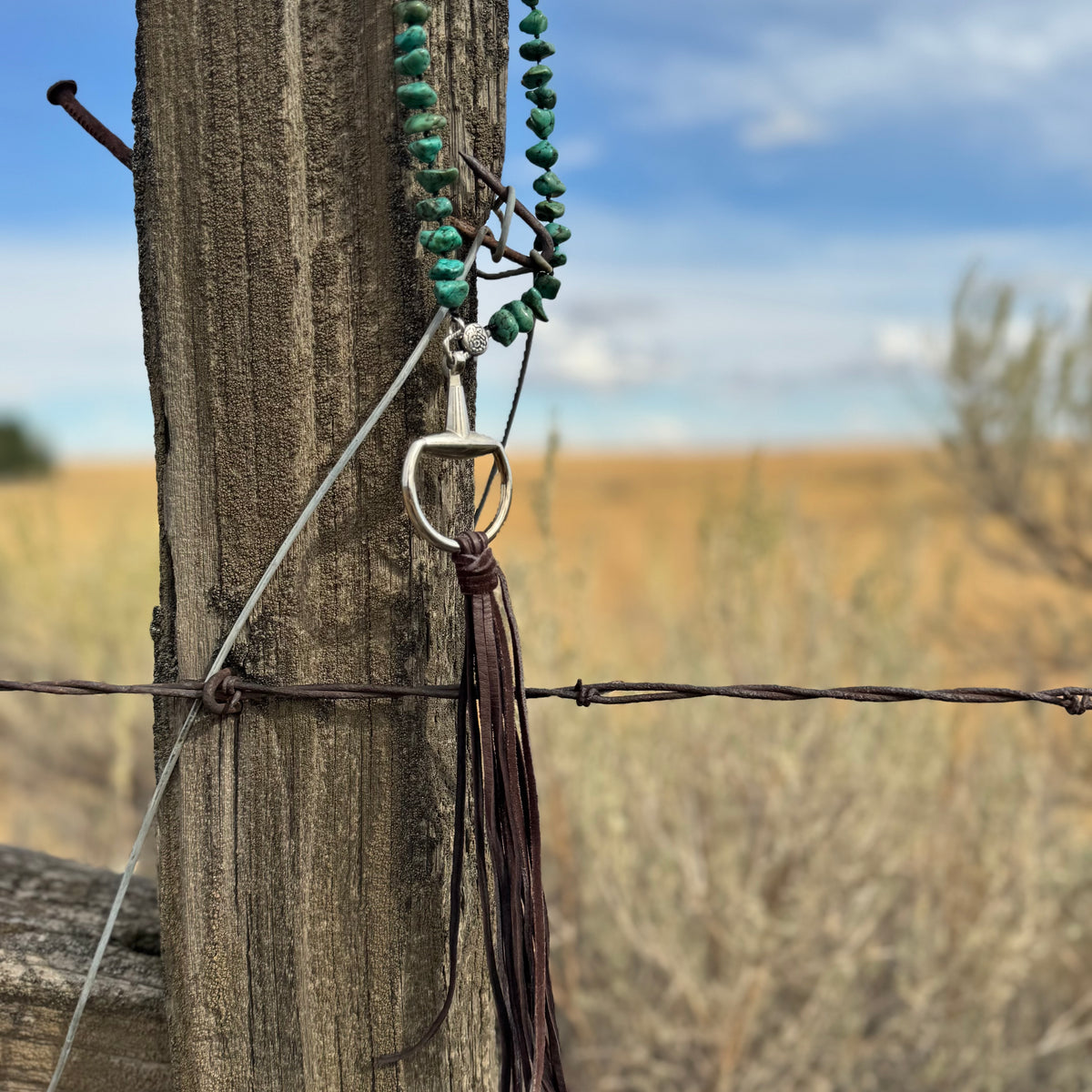 The Open Range Turquoise Tassel Necklace