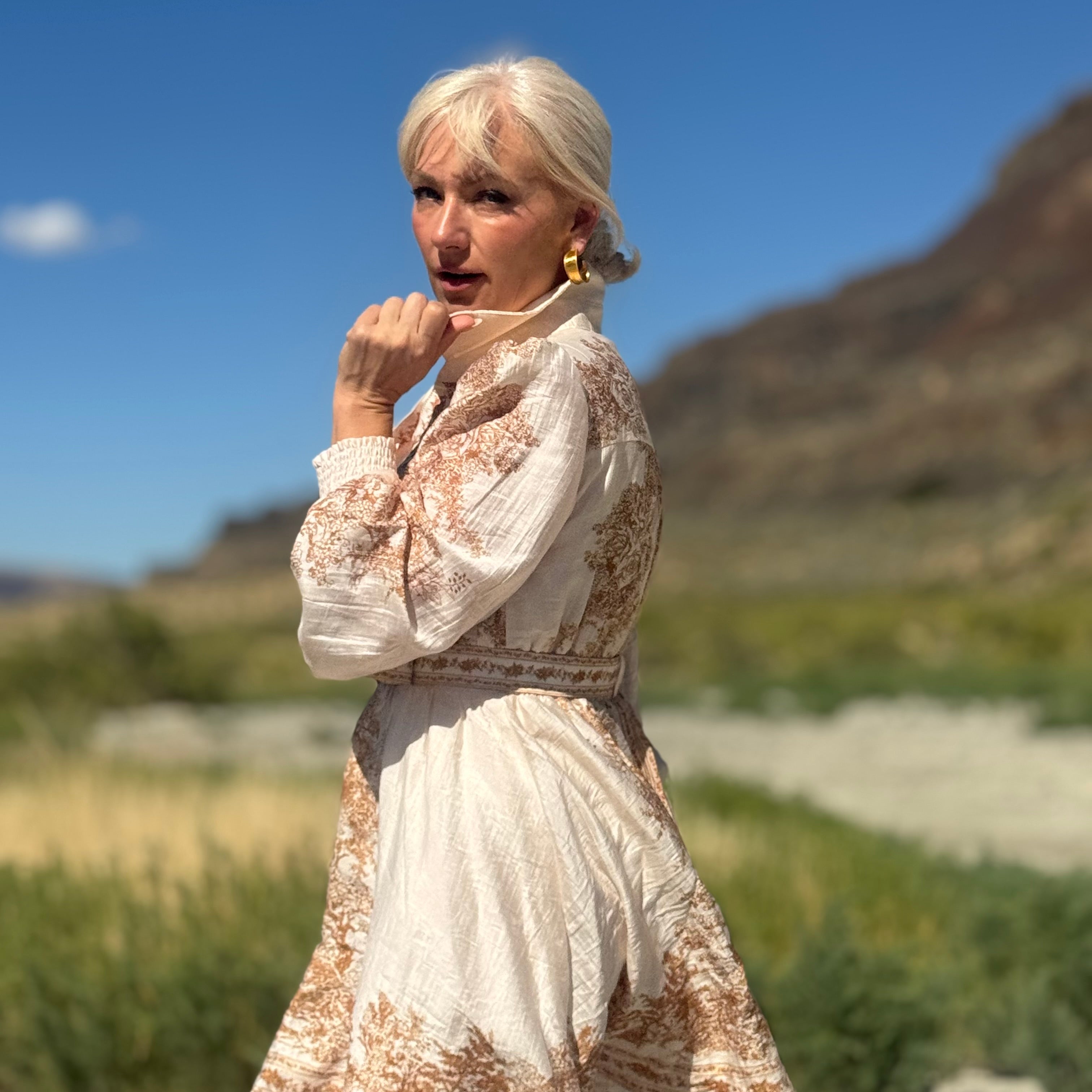 Canyon Toile Shirt Dress