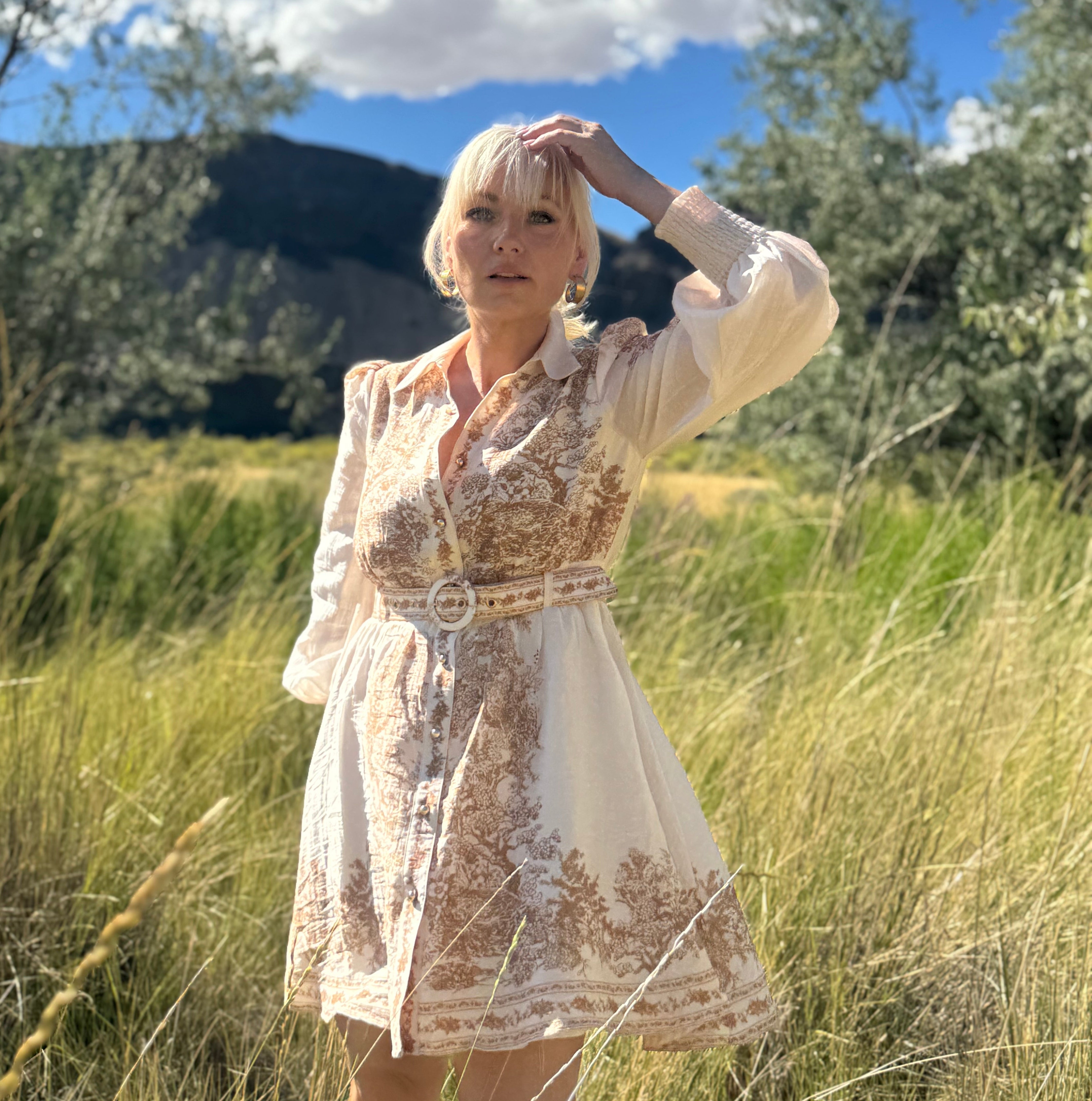 Canyon Toile Shirt Dress