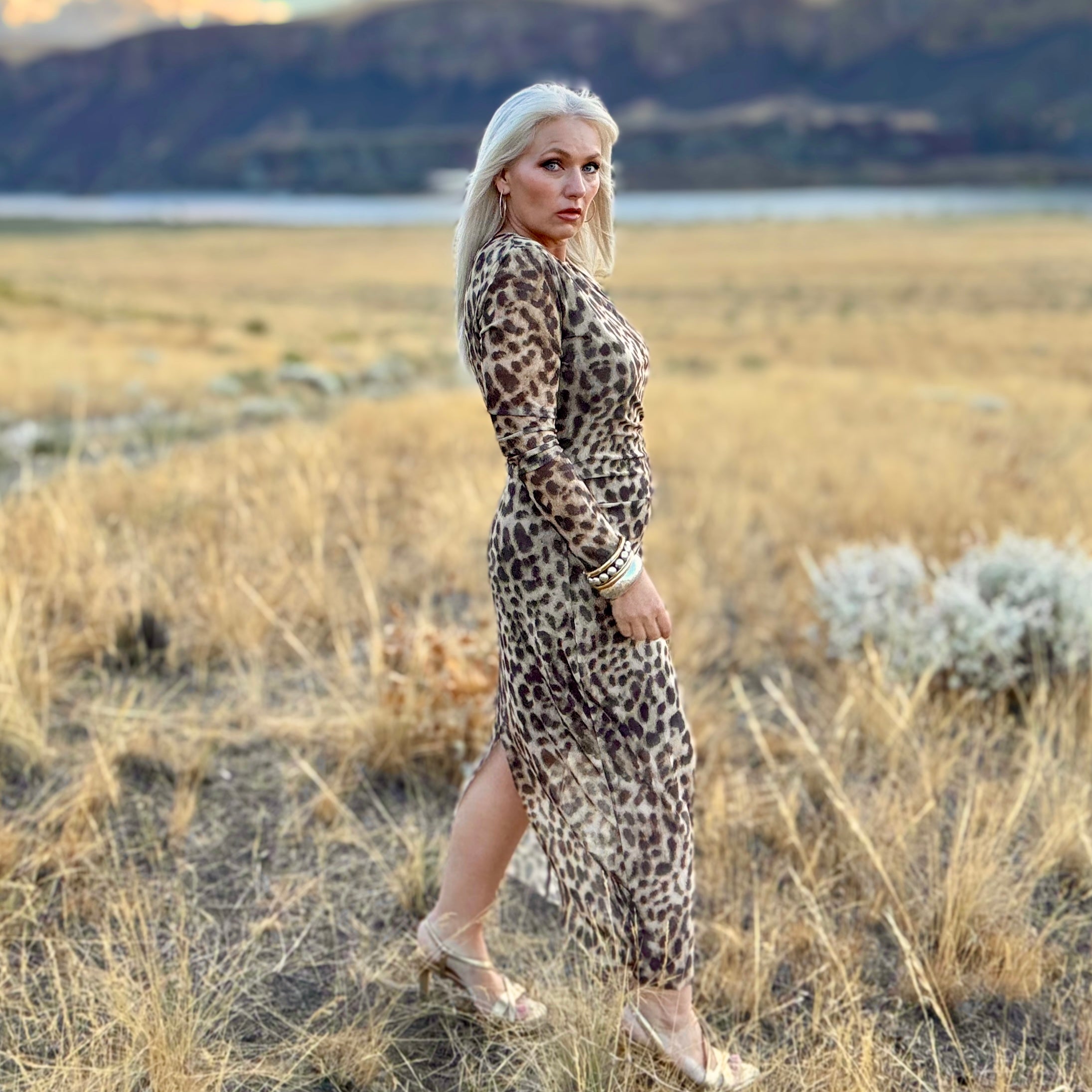 Leyla Mesh Leopard Dress