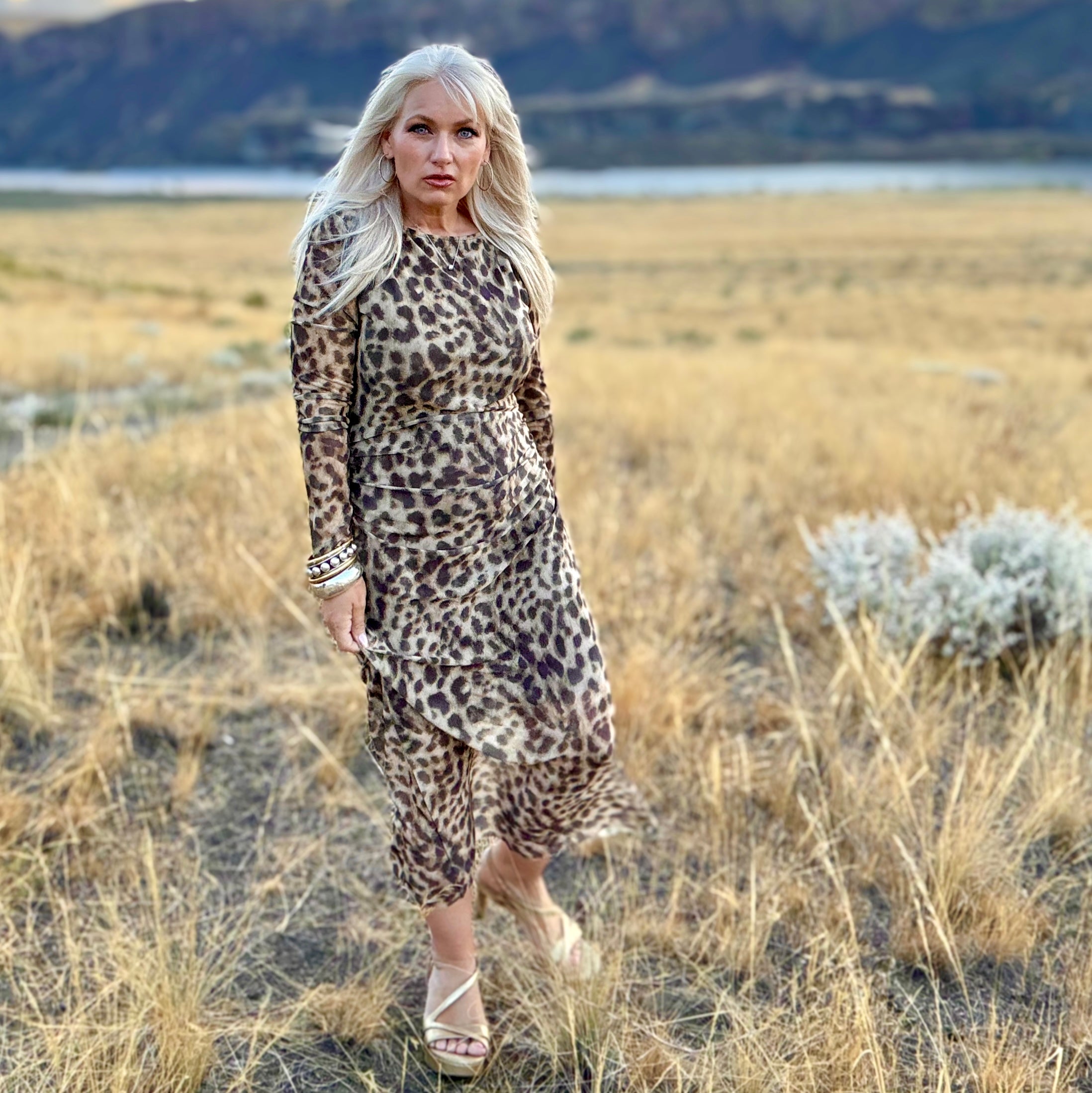 Leyla Mesh Leopard Dress