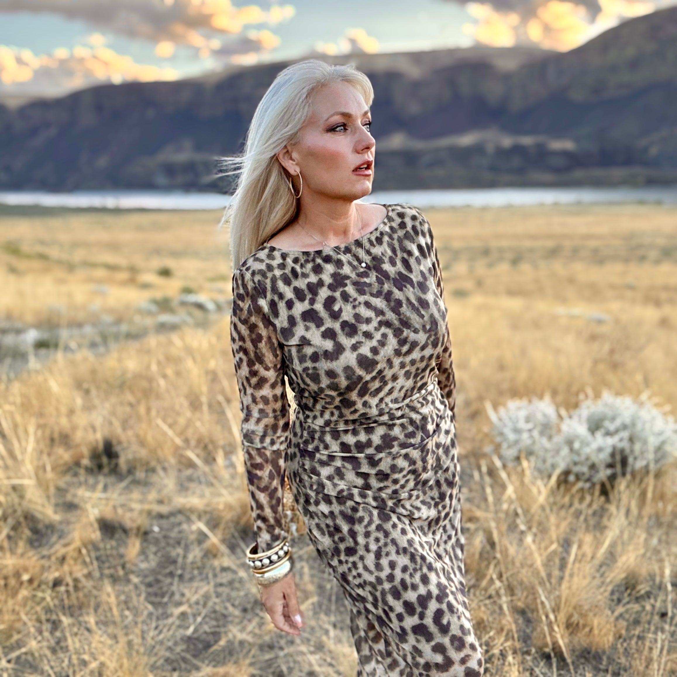 Leyla Mesh Leopard Dress