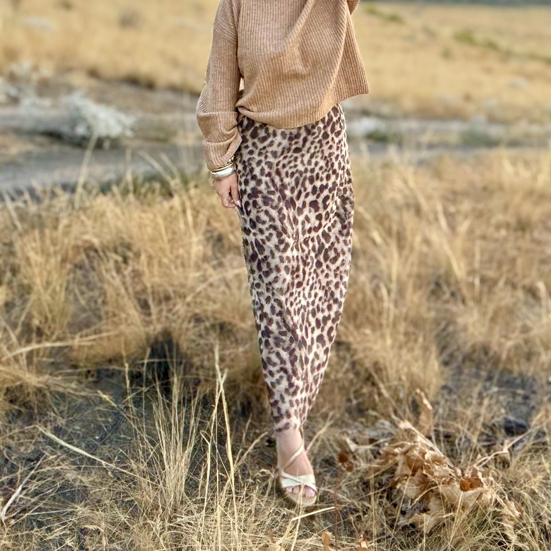 Leyla Mesh Leopard Maxi Skirt