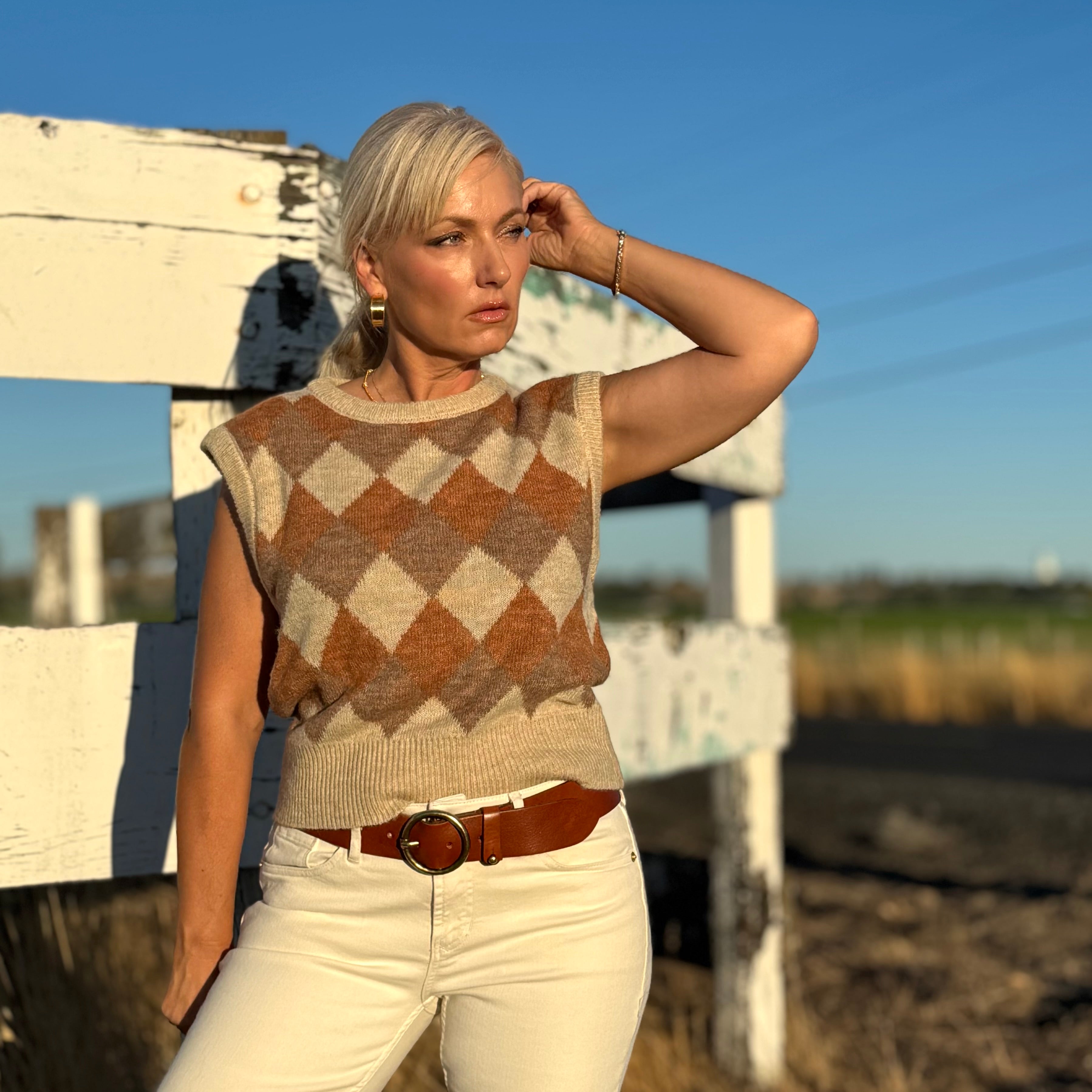 Argyle Knit Sweater Vest