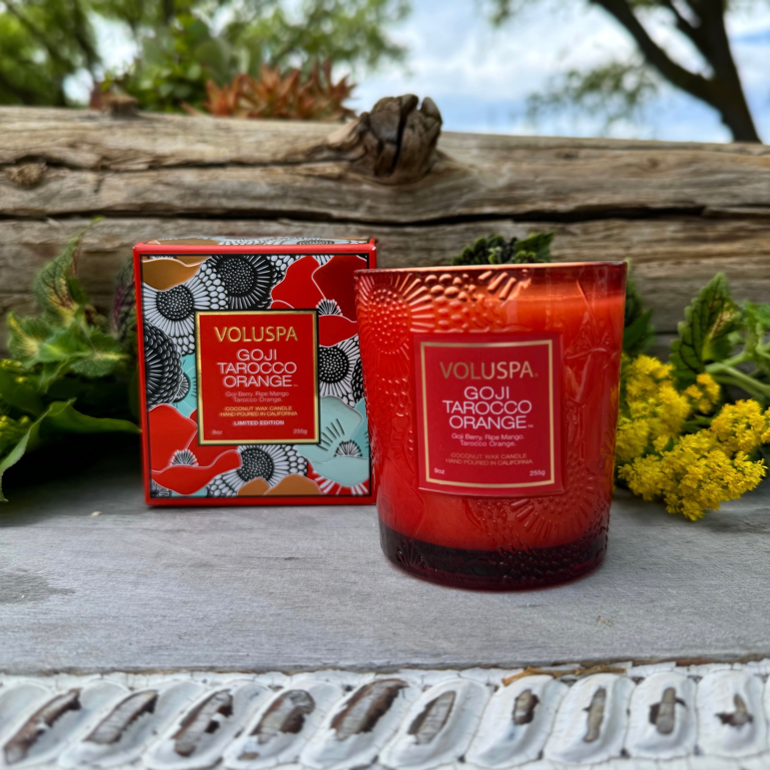 XXV ANNIVERSARY GOJI TAROCCO ORANGE Classic Candle